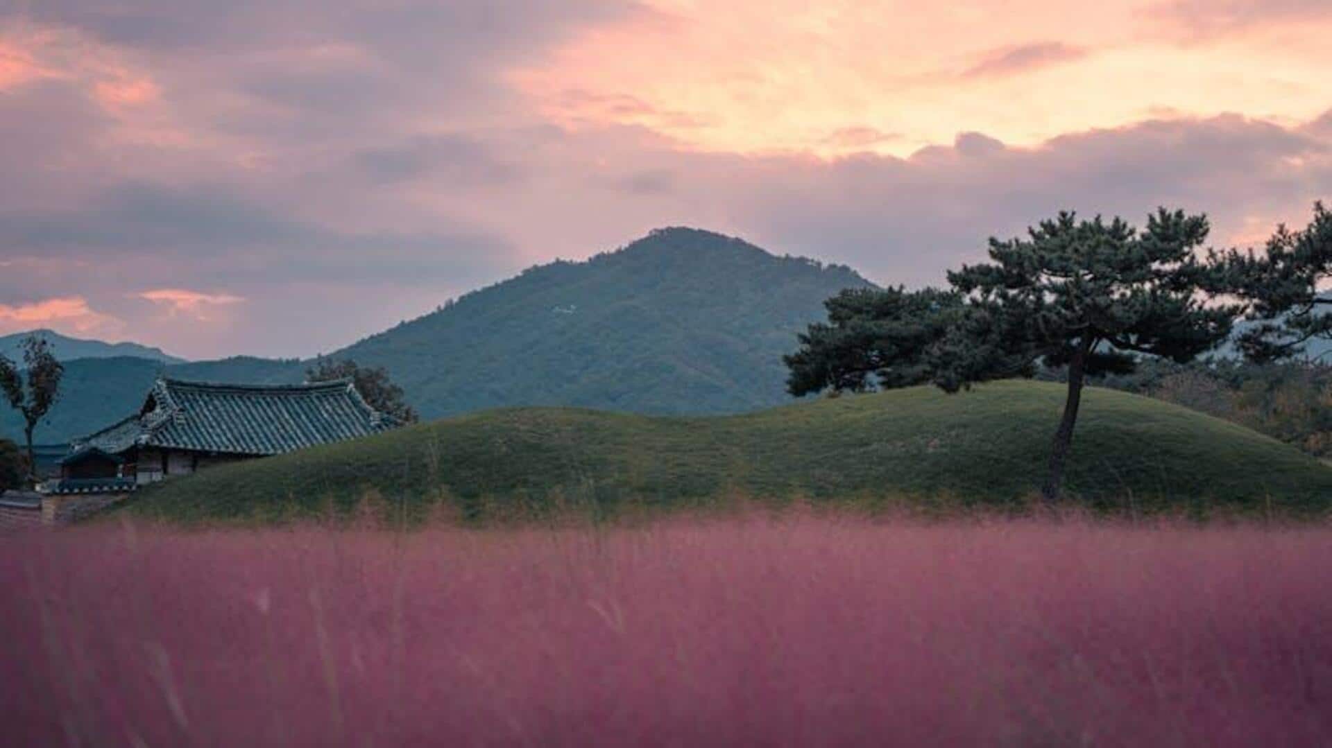 Menemukan Ketenangan di Pedesaan Korea Selatan Menemukan Ketenangan di Pedesaan Korea Selatan