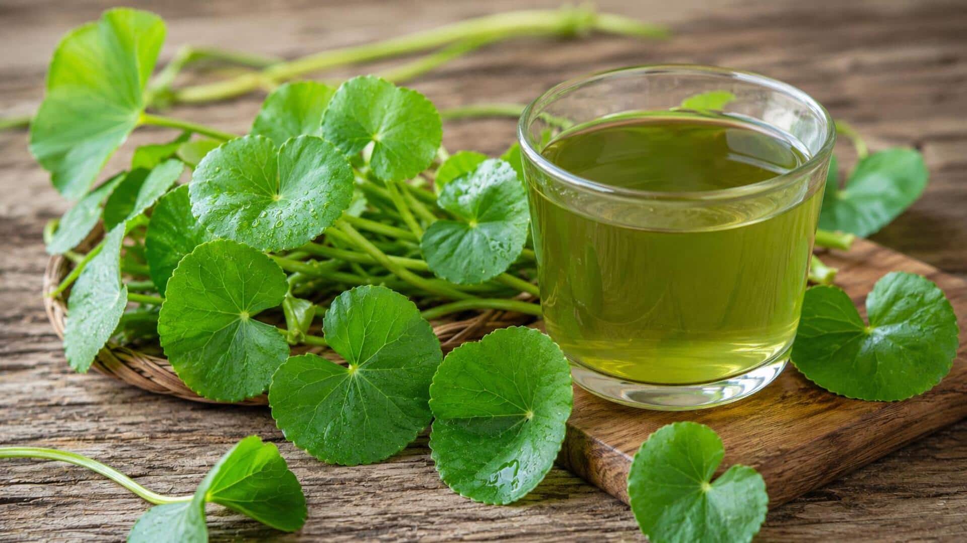 Cara Unik Menikmati Daun Pegagan dalam Berbagai Resep