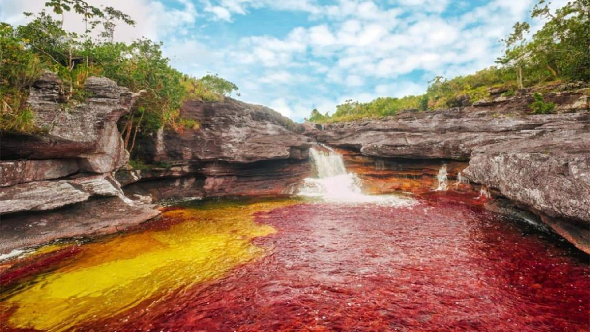 Menjelajahi Keajaiban Sungai Cano Cristales, Kolombia