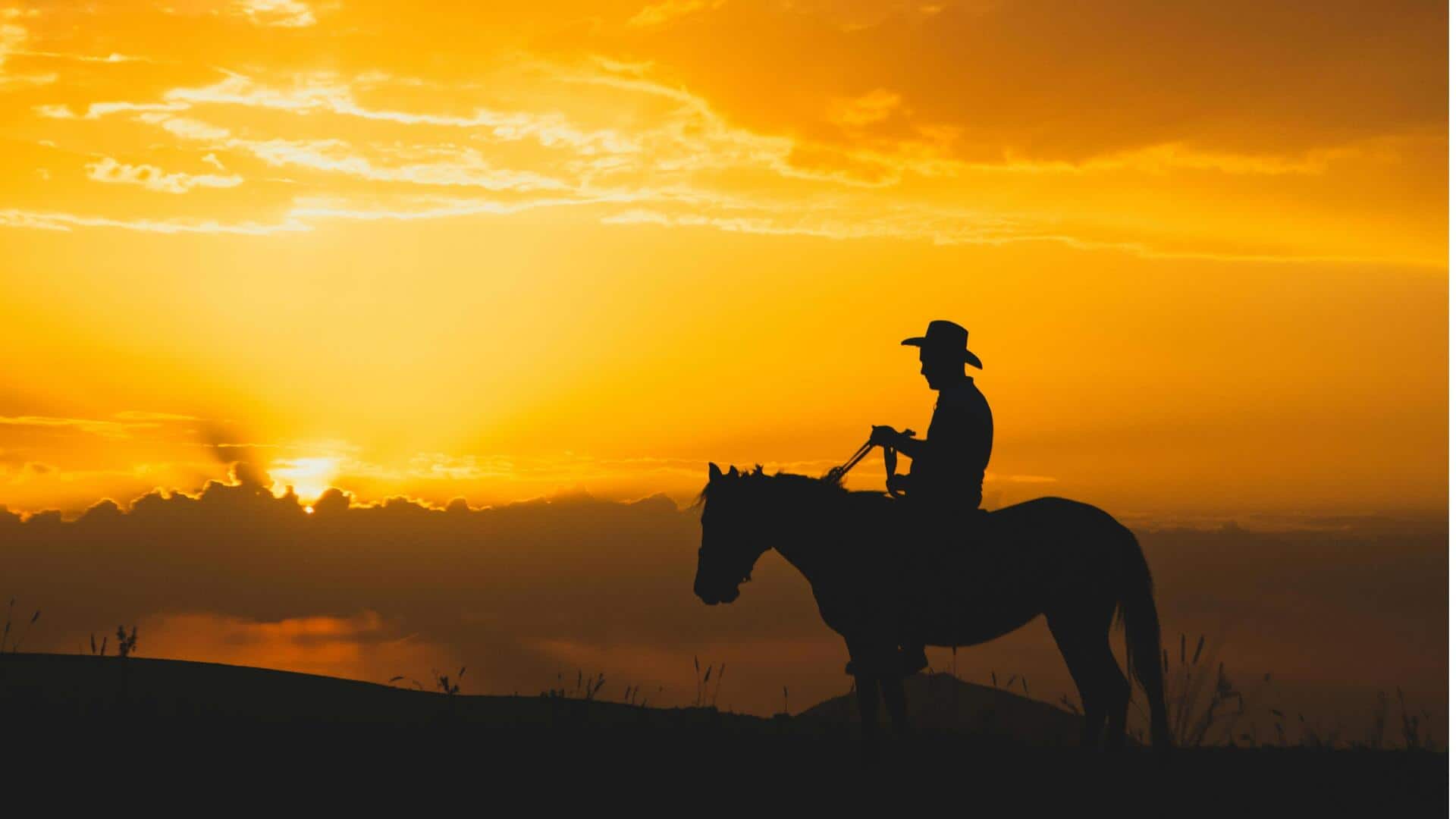 Menangkap Keajaiban dengan Teknik Siluet Golden Hour