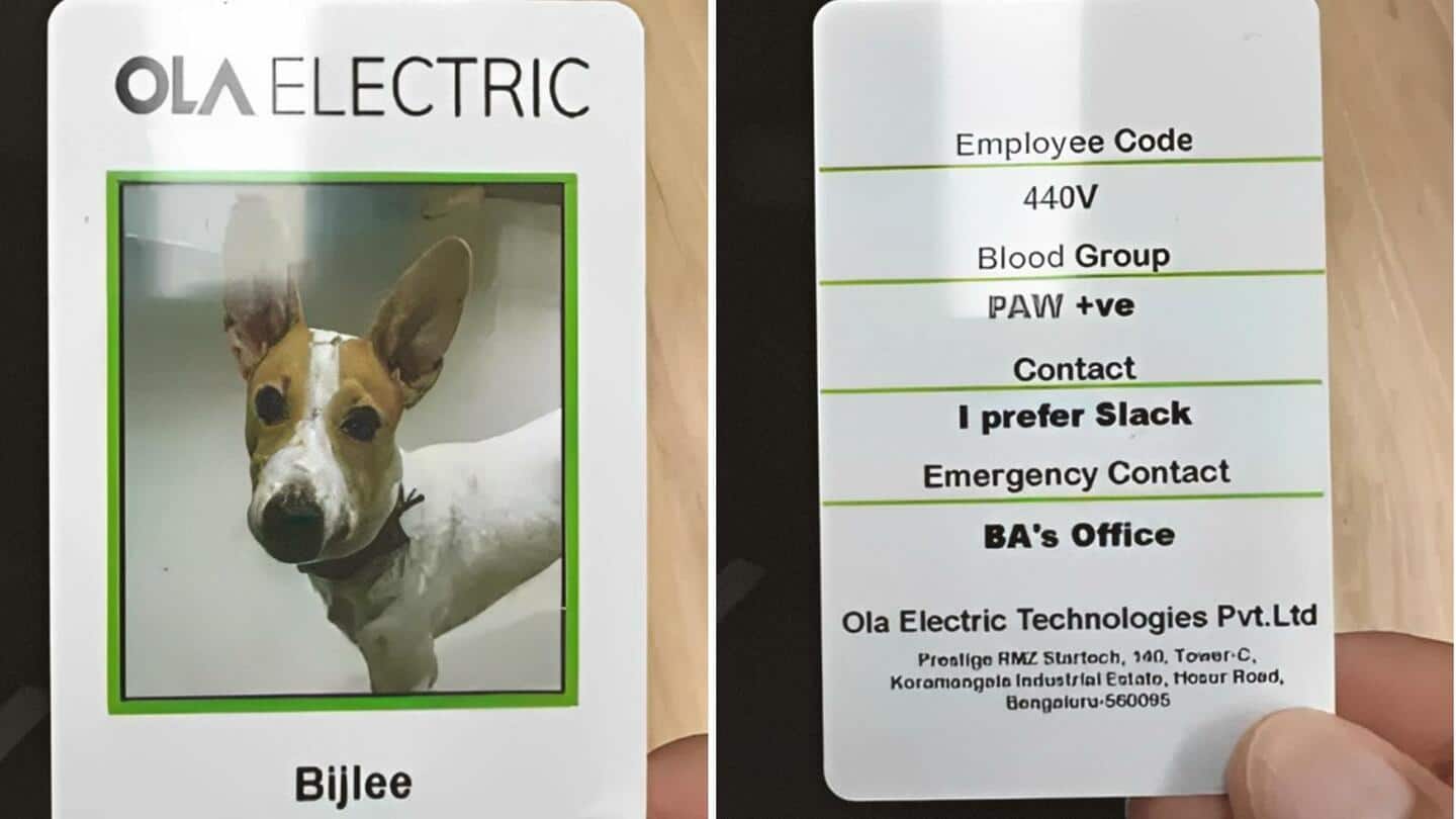 Perkenalkan Bijlee, karyawan hewan peliharaan baru Ola Electric