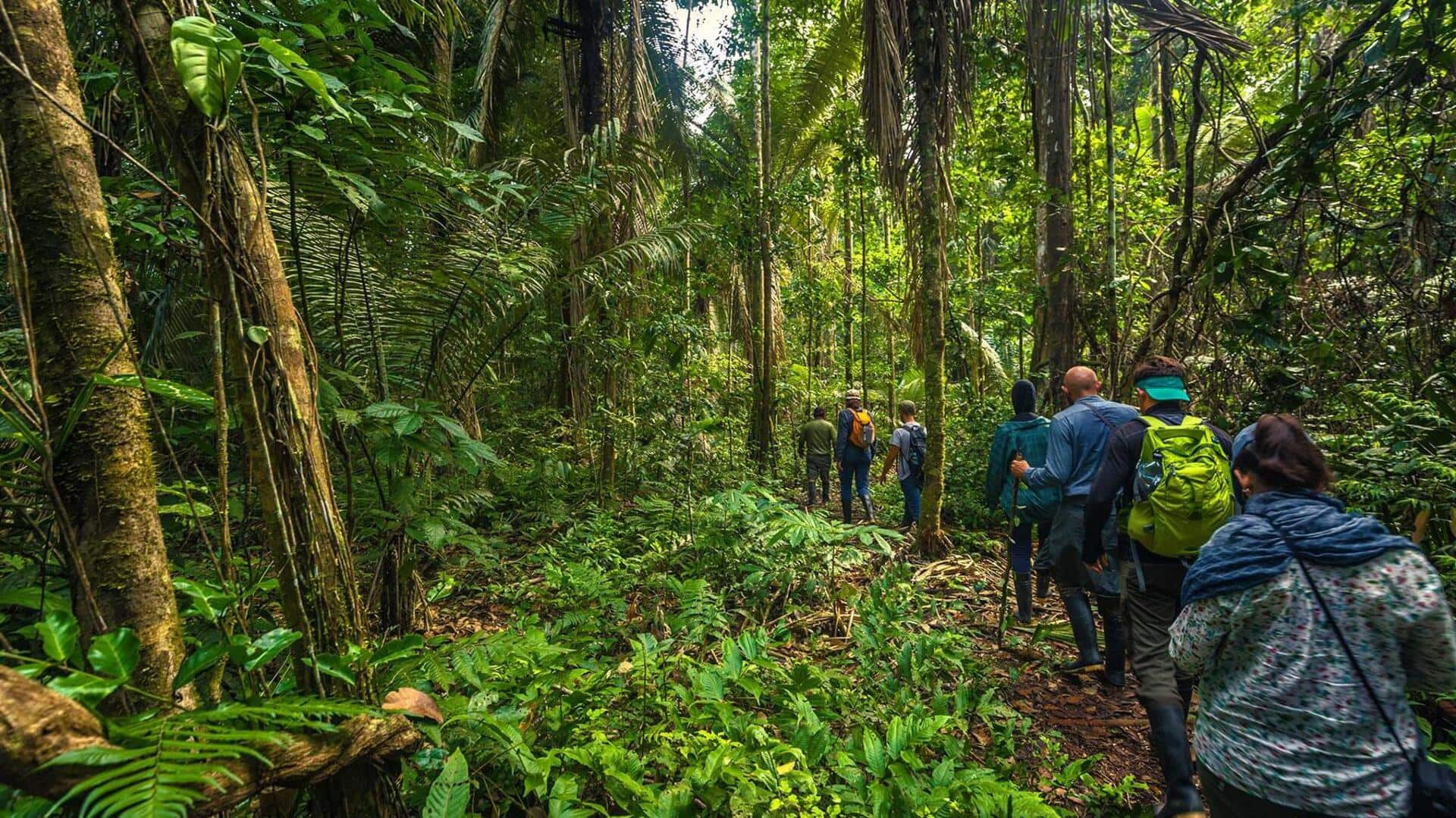 Daftar Barang Yang Wajib Anda Bawa Ketika Menjelajahi Amazon