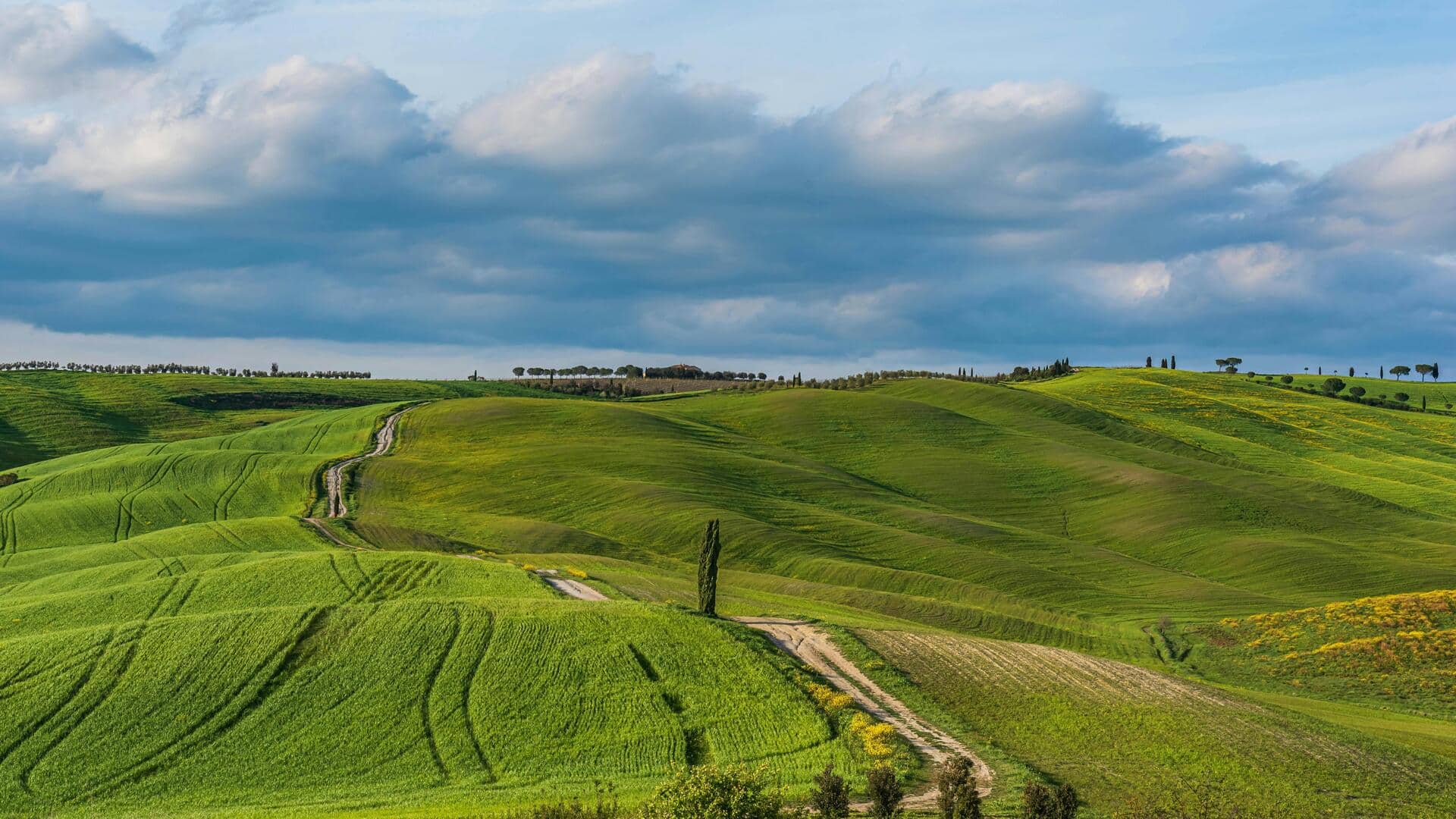 Jelajahi Jalur Sepeda Indah di Tuscany
