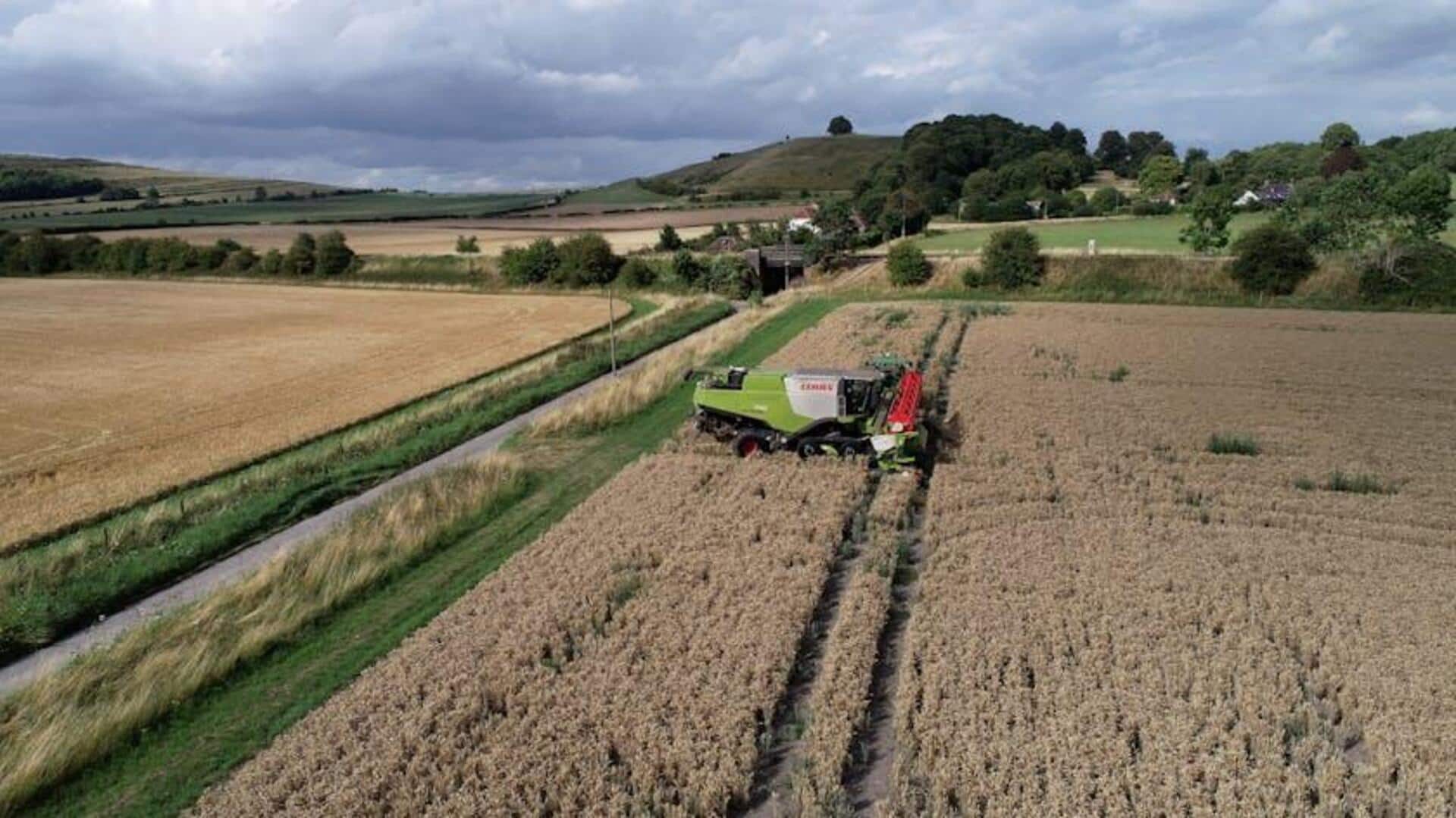 Kecerdasan Buatan Mengubah Keberlanjutan Pertanian