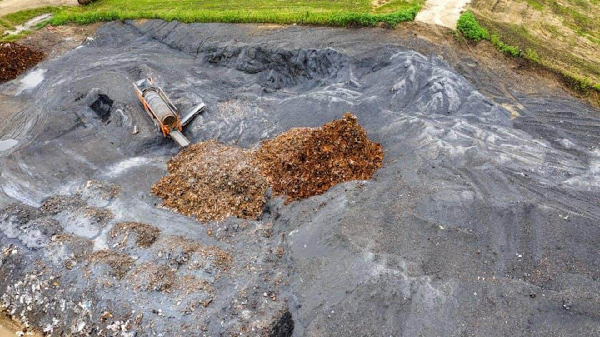 Revolusi Energi Hijau: Fakta Terobosan Bioenergi