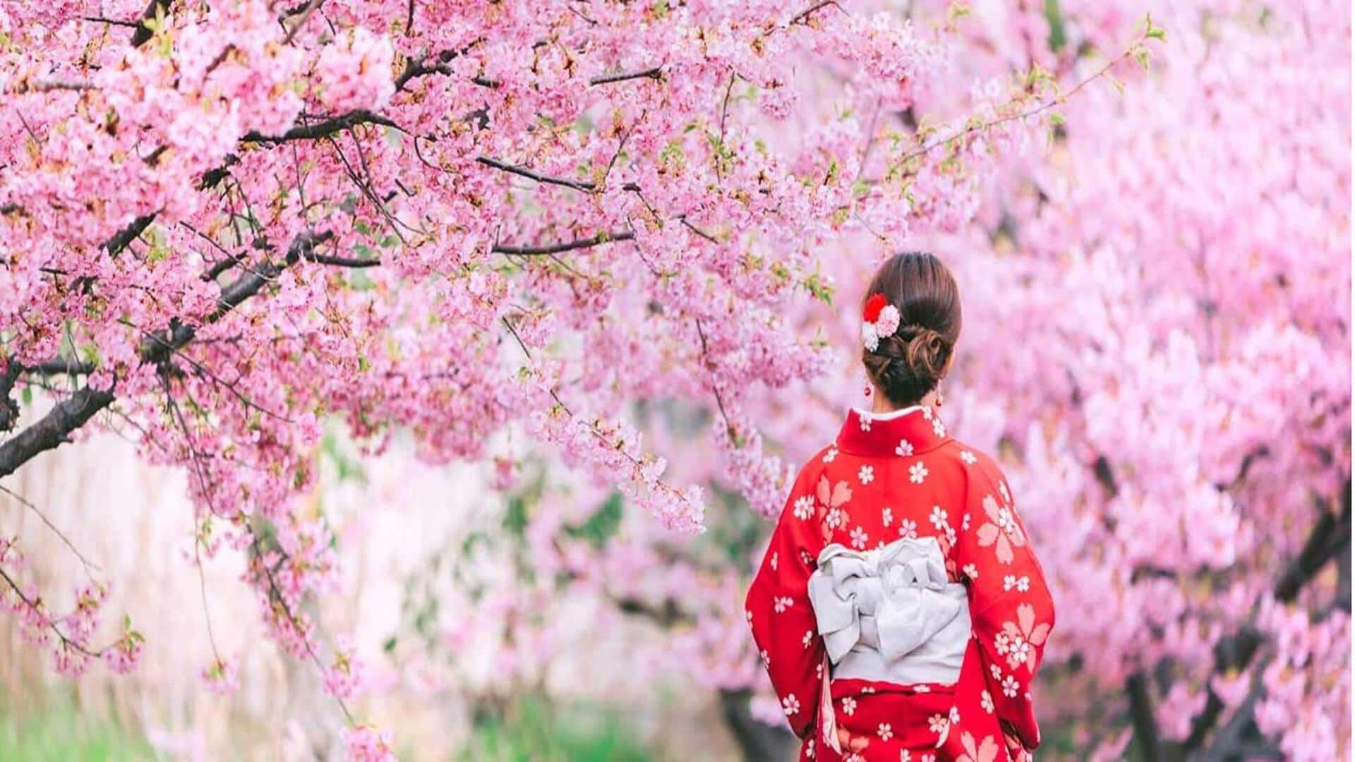 Saksikan bunga sakura di Kyoto dengan panduan perjalanan ini