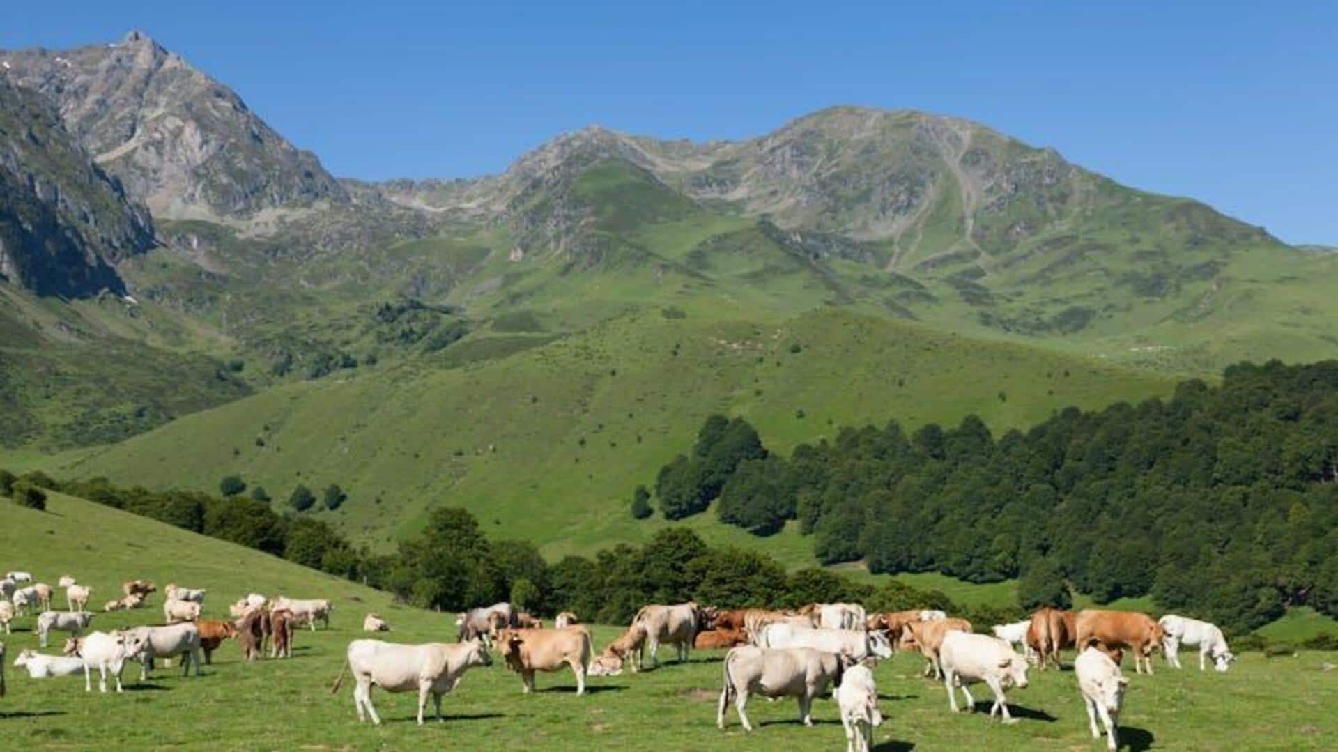 Lima Desa Pegunungan Menakjubkan di Pyrenees, Prancis