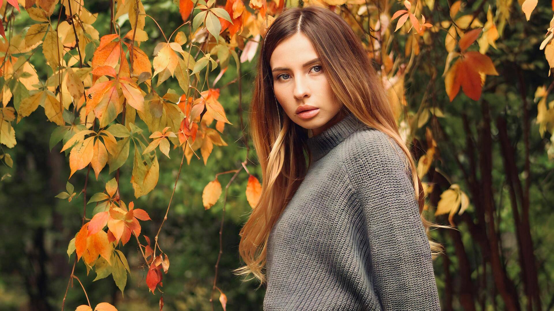 Desain musim gugur yang memukau untuk lemari pakaian Anda