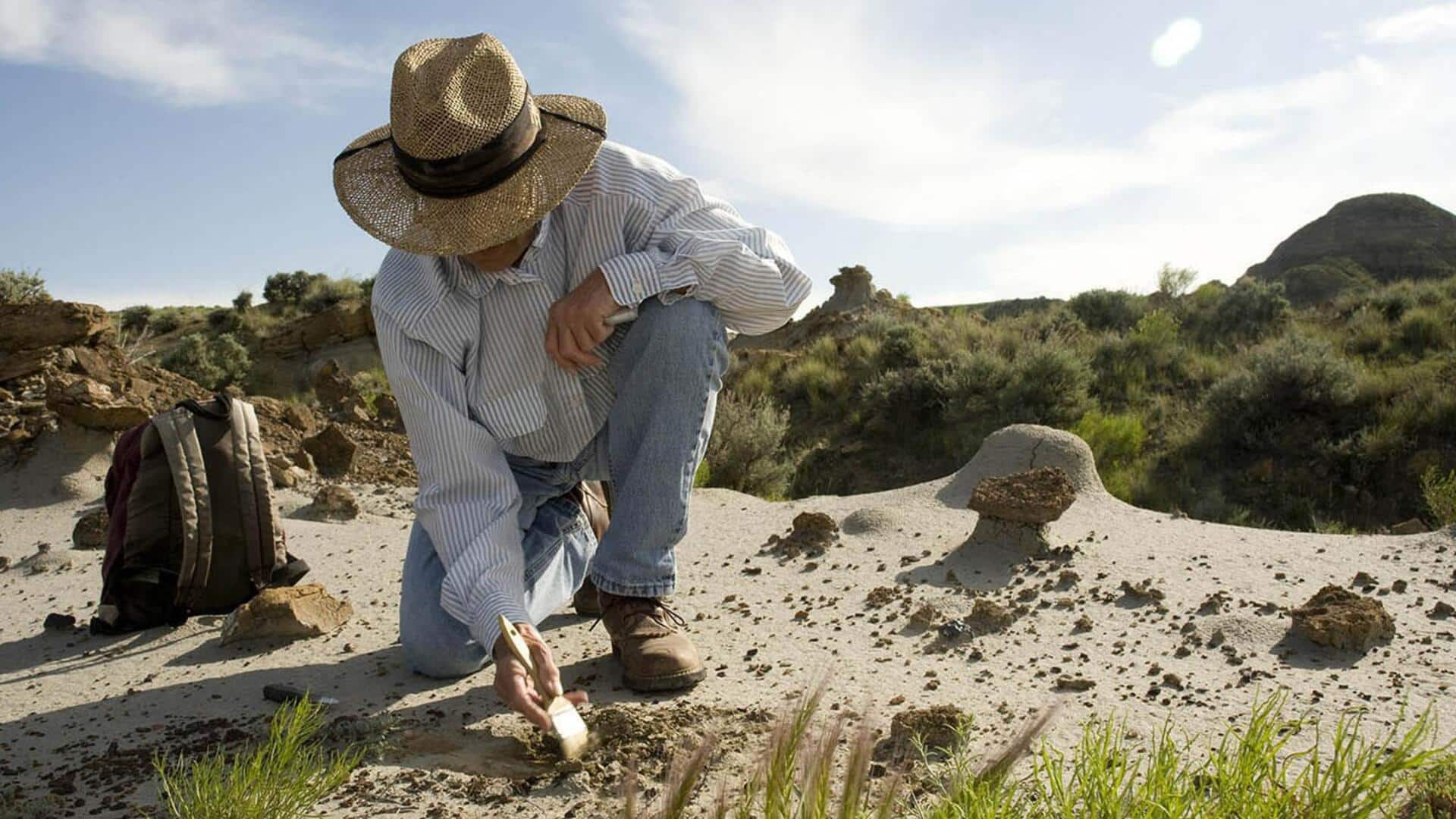 Mengunjungi Penggalian Paleontologi Di Badlands Montana