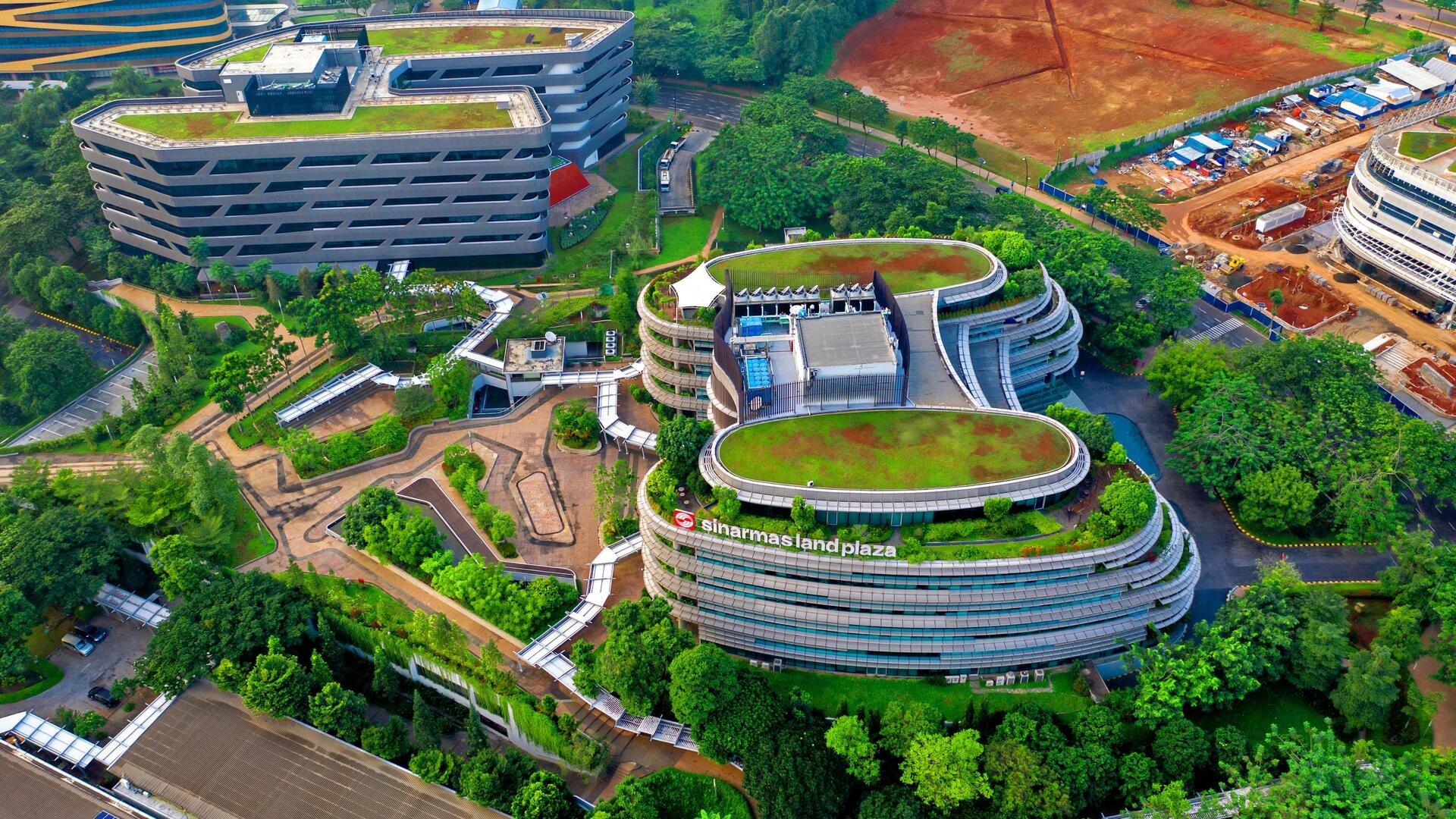 Atap Hijau: Mengurangi Panas Perkotaan dengan Fakta Ilmiah