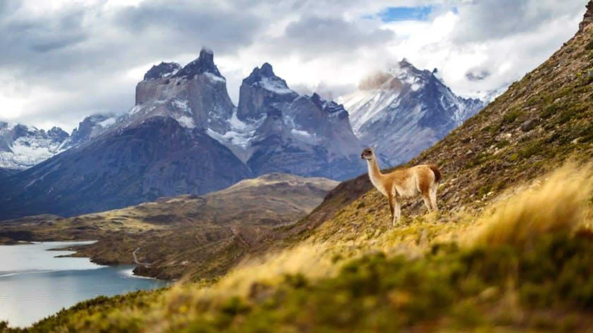 Menjelajahi Jalur Tersembunyi di Patagonia untuk Pemandangan Menakjubkan