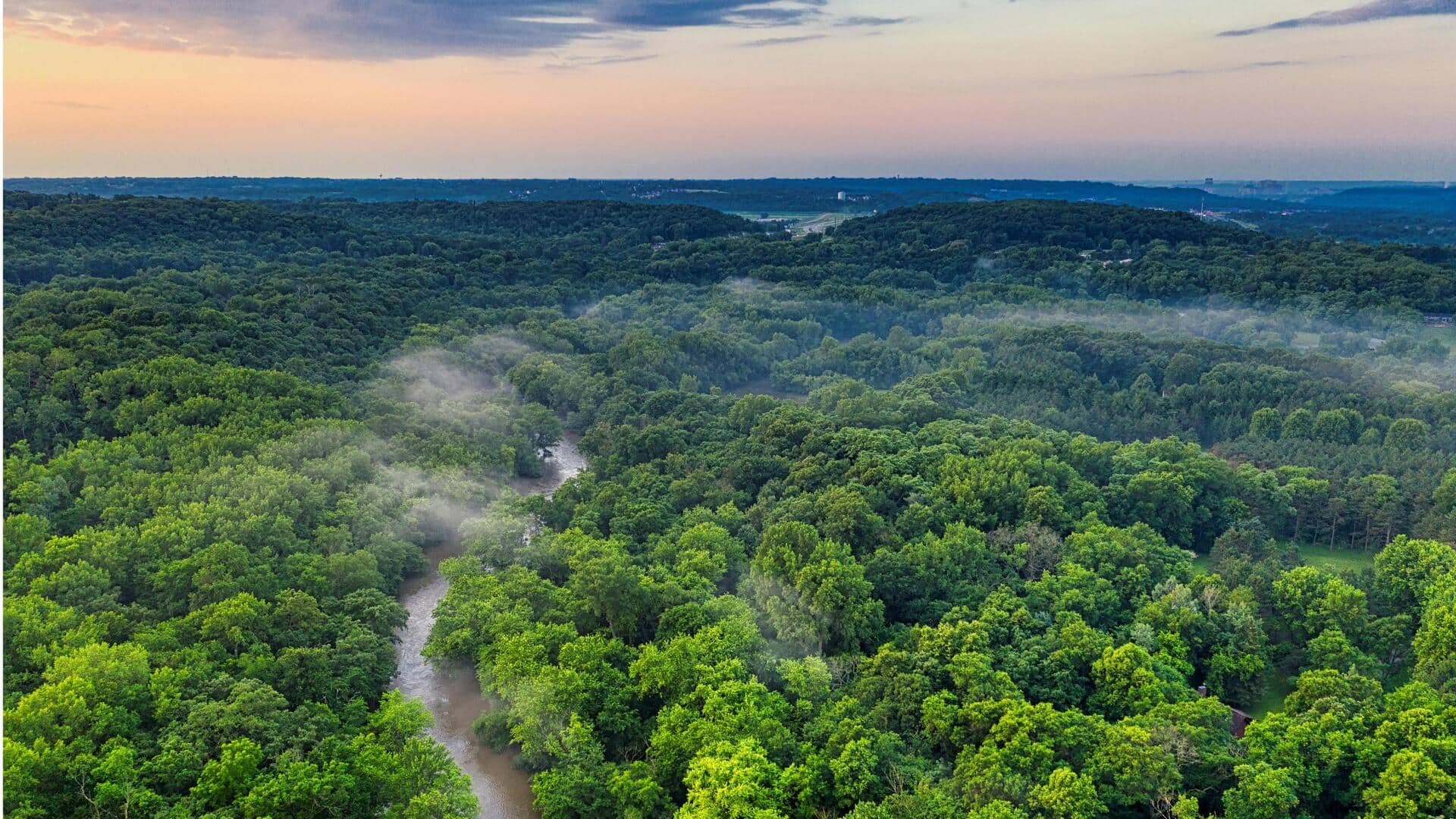 Menjelajahi Keajaiban Hutan Amazon, Brasil