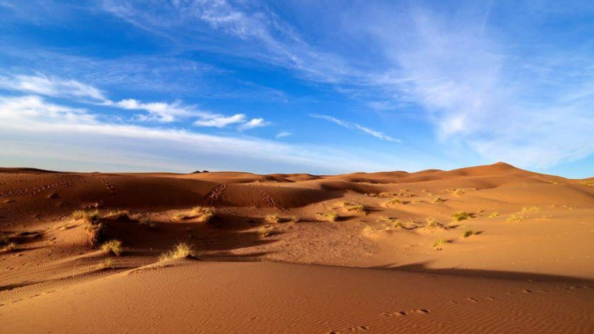 Fakta Menarik tentang Periode Sahara Hijau