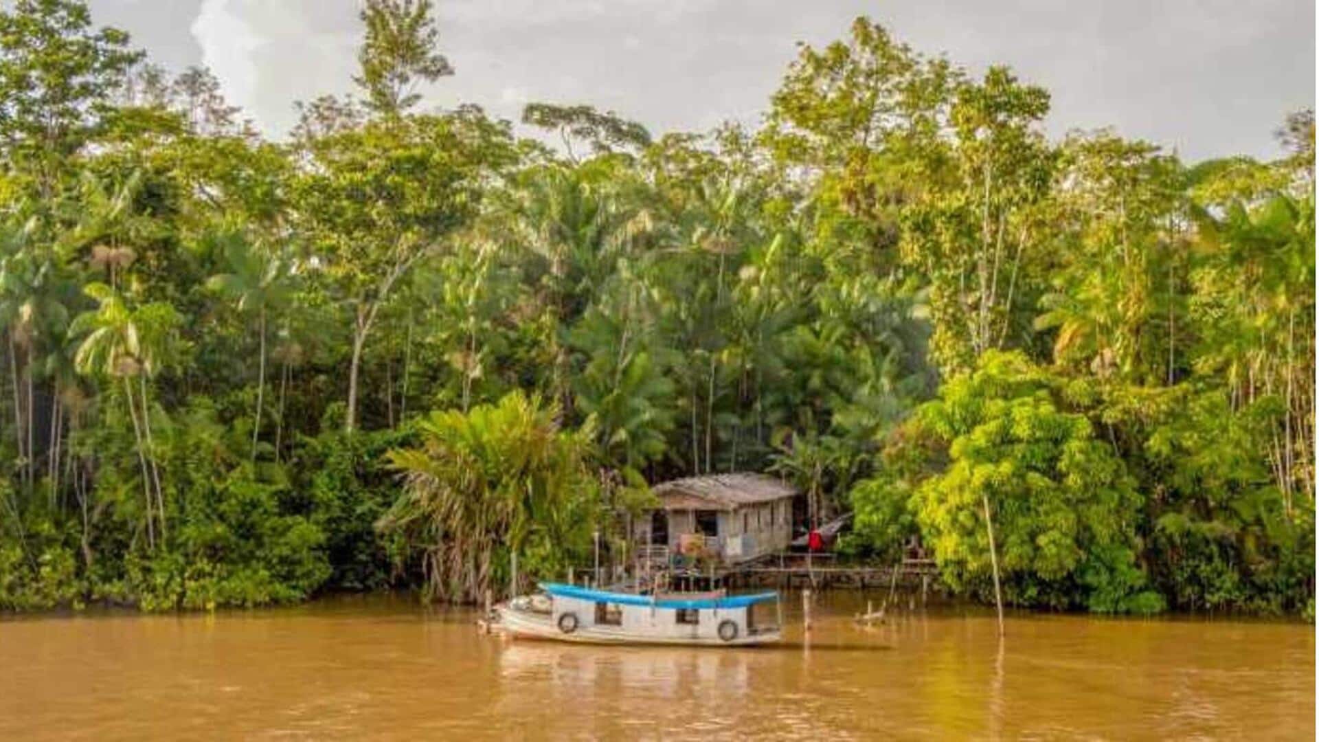 Mulailah petualangan hutan hujan di Manaus, Brasil