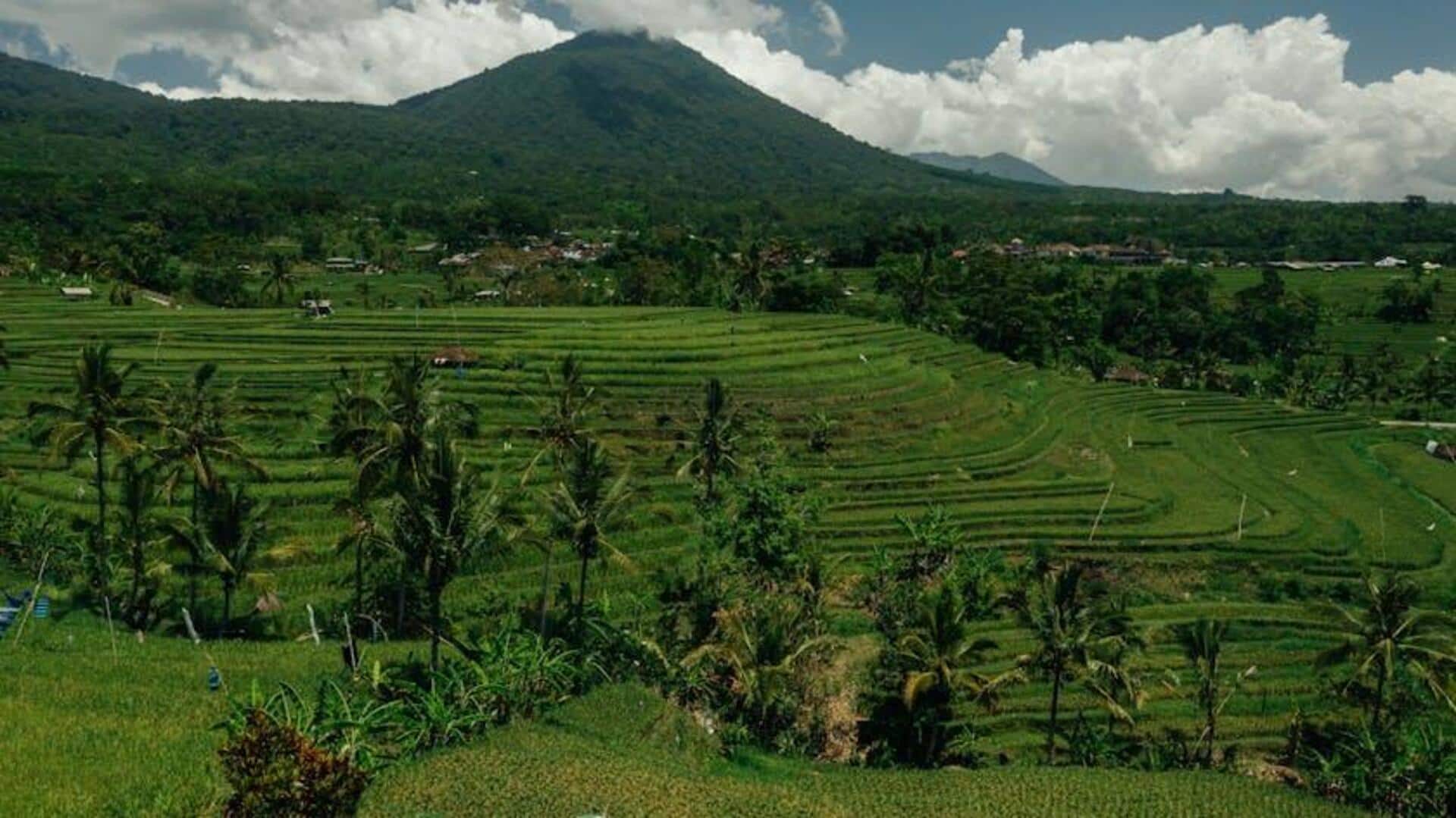 Desa Tersembunyi di Bali: Pesona Pedesaan dan Kehidupan Komunitas Desa Tersembunyi di Bali: Pesona Pedesaan dan Kehidupan Komunitas