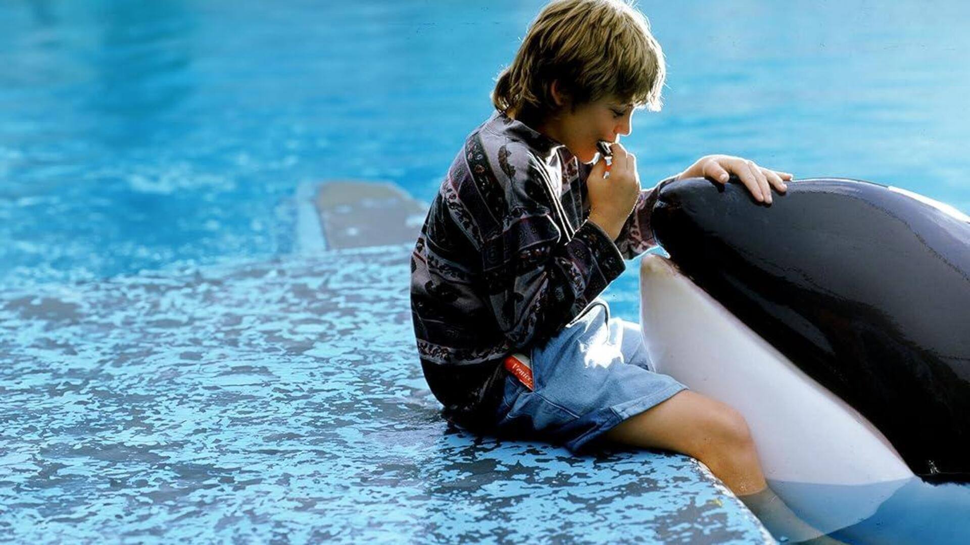 Hewan Hollywood yang mencuri perhatian