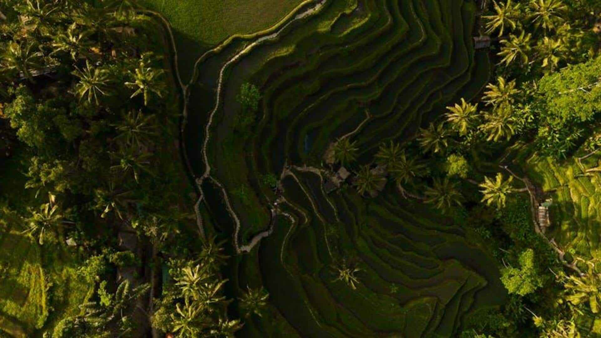 Jalur Sepeda Indah di Bali untuk Petualang Jalur Sepeda Indah di Bali untuk Petualang