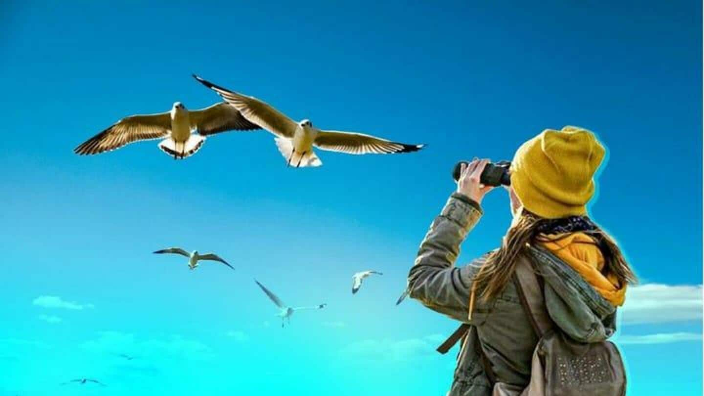 Birdwatching: Serba-serbi yang perlu diketahui soal hobi mengasyikkan ini