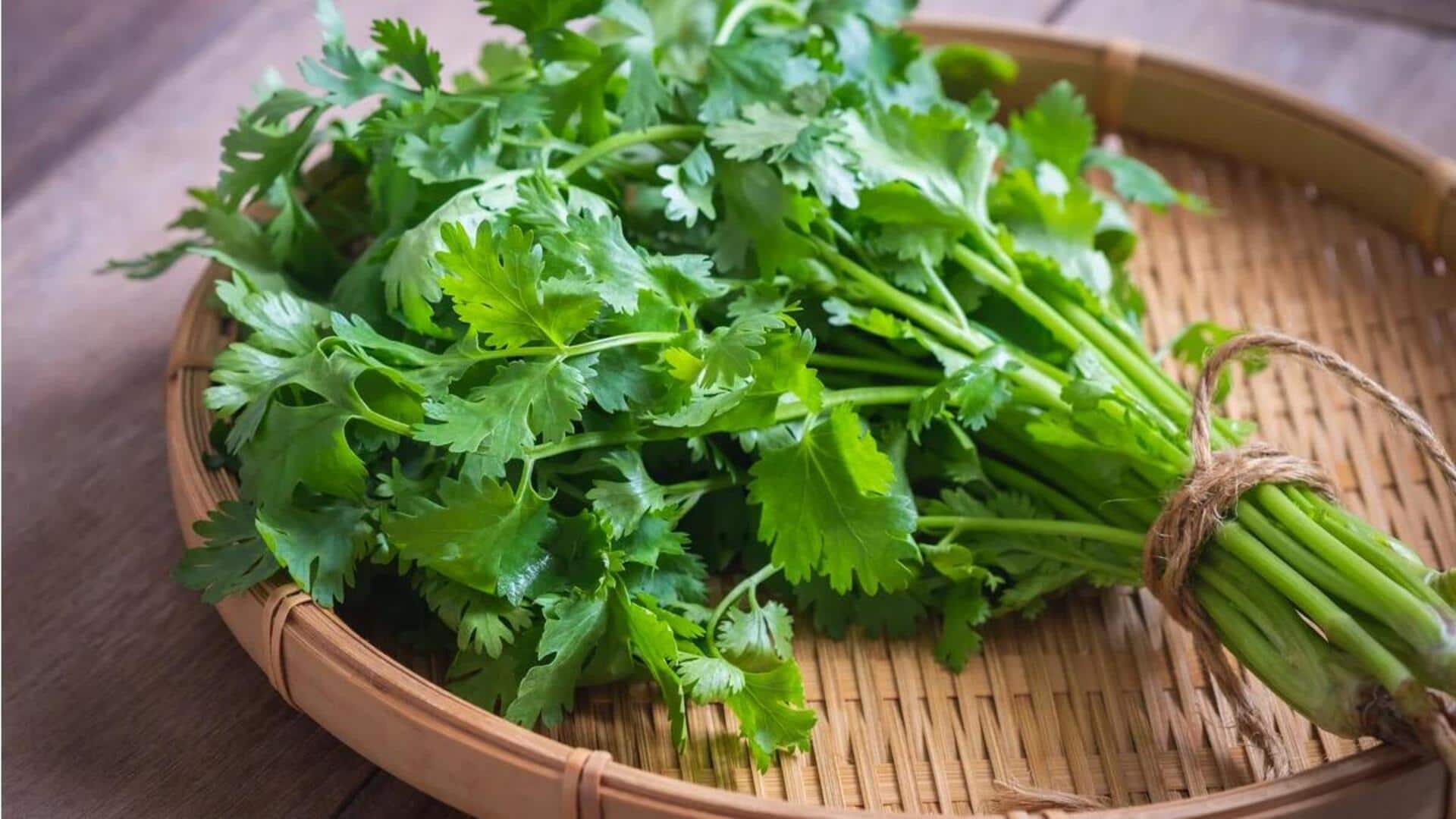 Bumbu yang Mengubah Hidangan Sederhana menjadi Lebih Lezat