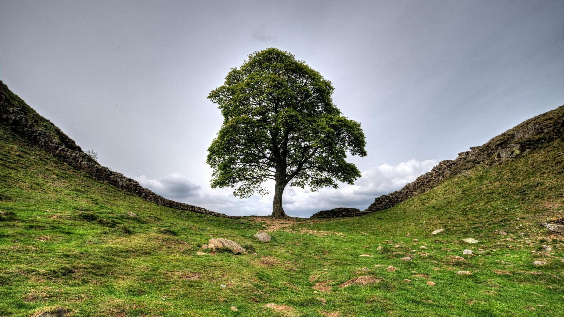 Menjelajahi Reruntuhan Housesteads Roman Fort, Inggris