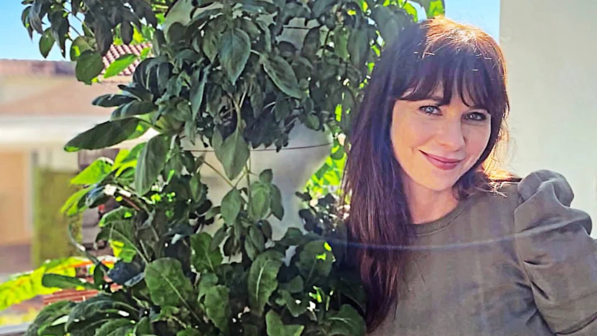 Hobi rahasia bintang Hollywood yang menghipnotis penggemar Indonesia