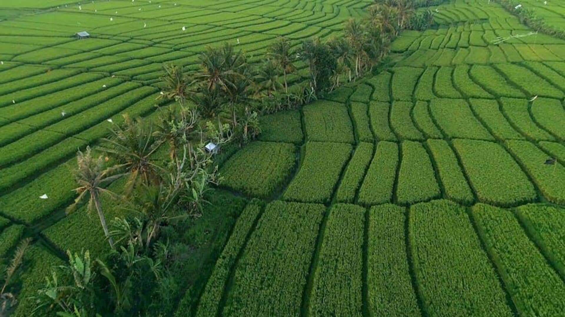 Satelit Memajukan Agritech Indonesia untuk Pertanian Berkelanjutan