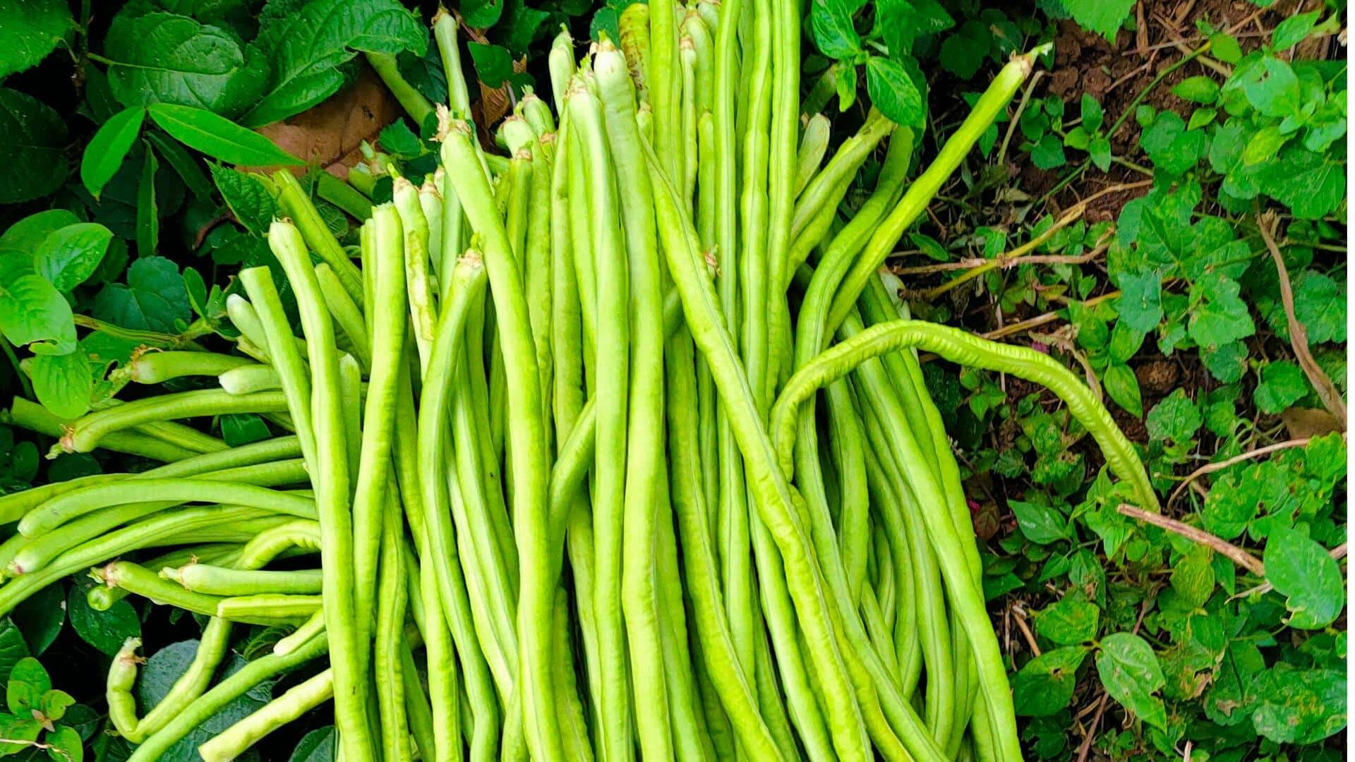 Resep Kacang Panjang yang Kaya Magnesium