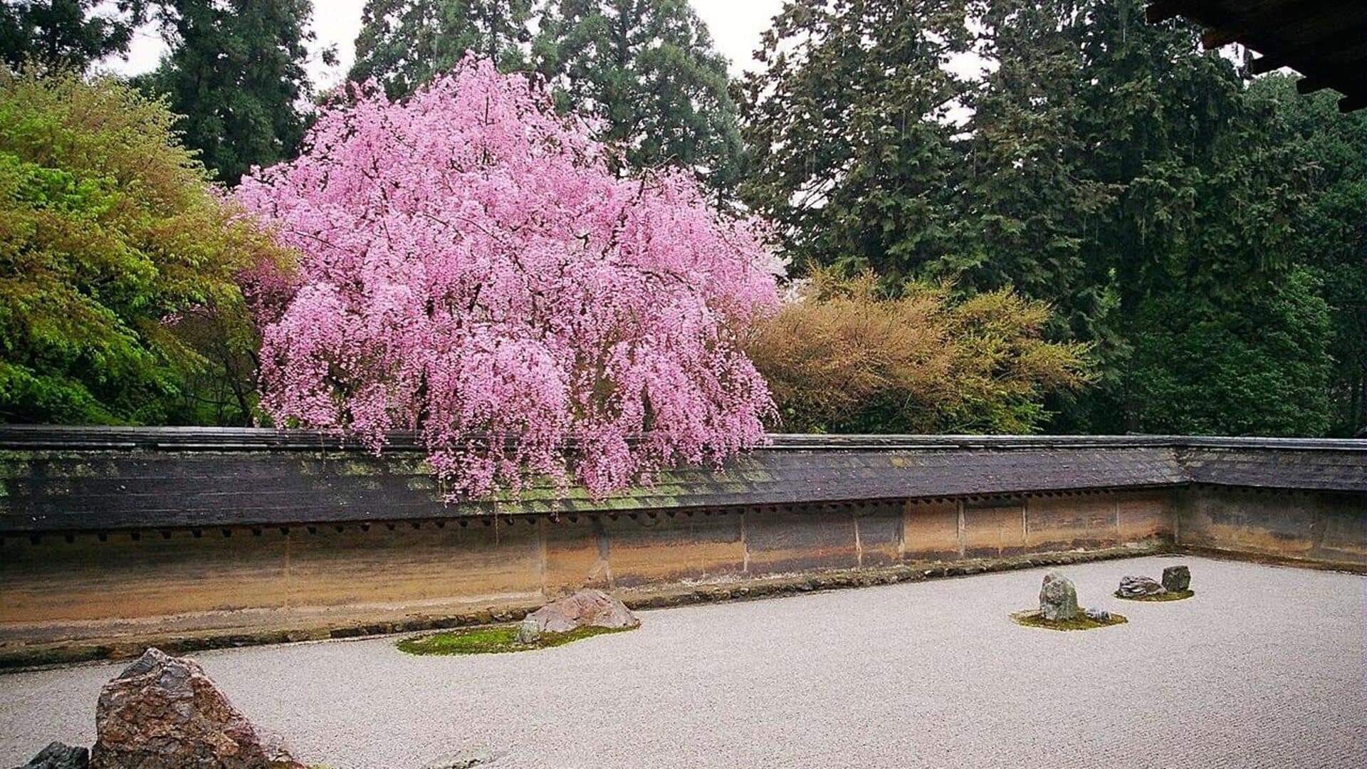Menemukan Ketenangan di Taman-Taman Zen Jepang