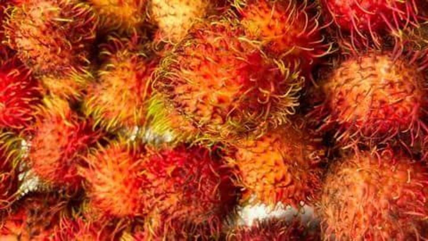 Bantu turunkan berat badan, perbaiki rambut: Sederet manfaat rambutan