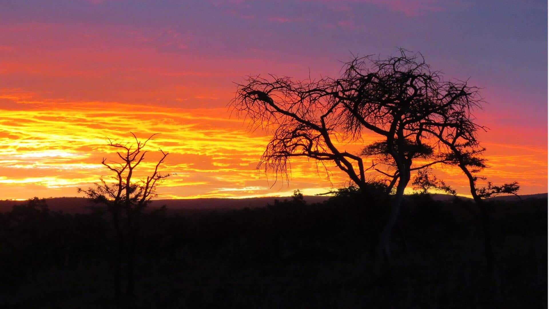 Mengungkap Proses Ilmiah dari Keindahan Warna Senja