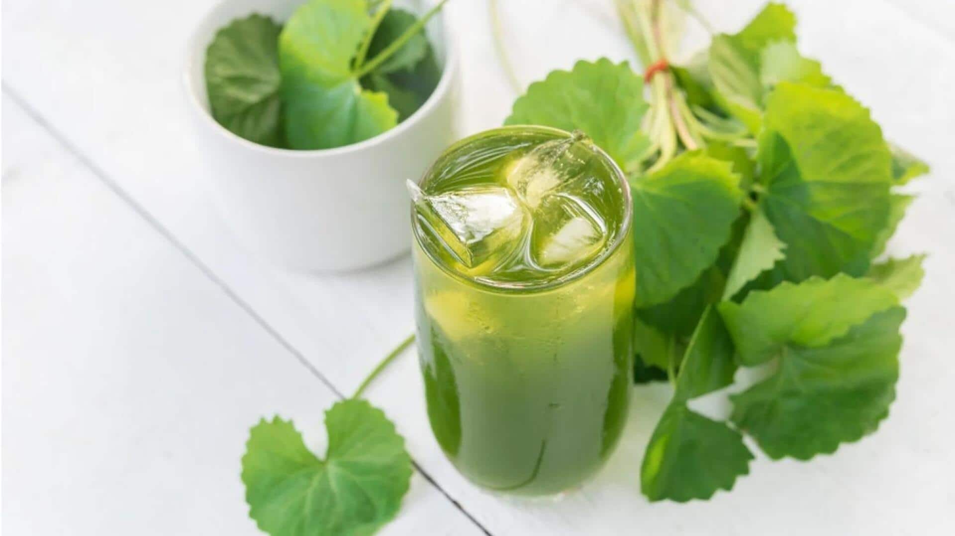 Lima Resep Segar Berbasis Daun Pegagan dari Indonesia