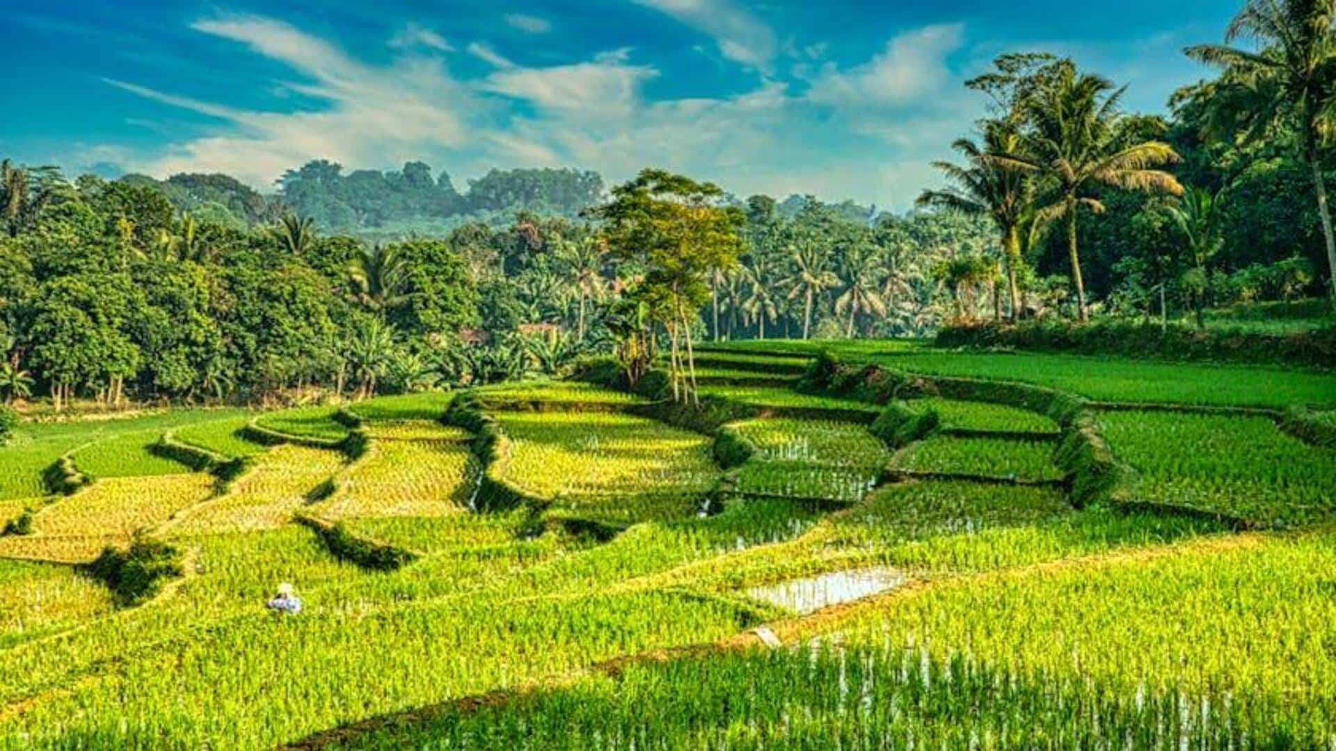 Inovasi Ekonomi Sirkular Menjaga Lingkungan Indonesia