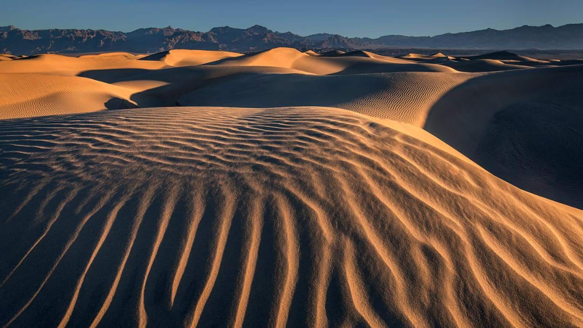 Lima Tips Unik untuk Menangkap Tekstur dalam Fotografi