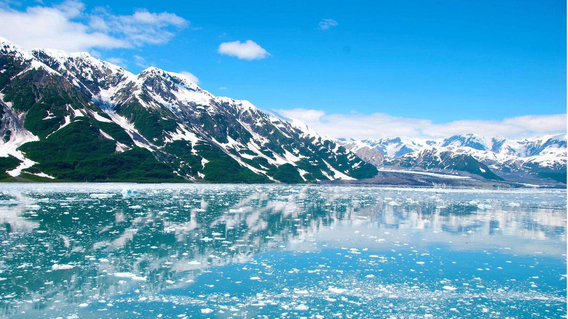 Menikmati Keindahan Taman Nasional Glacier Bay, Alaska, AS