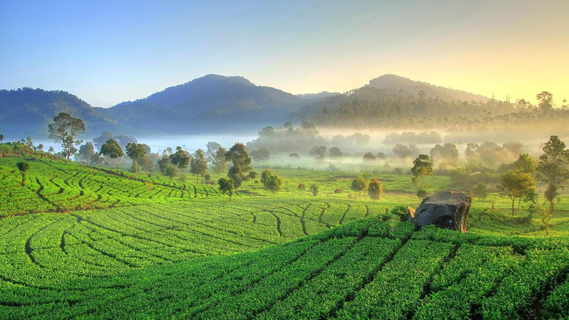 Menjelajahi kebun teh dan kereta api warisan di Bandung