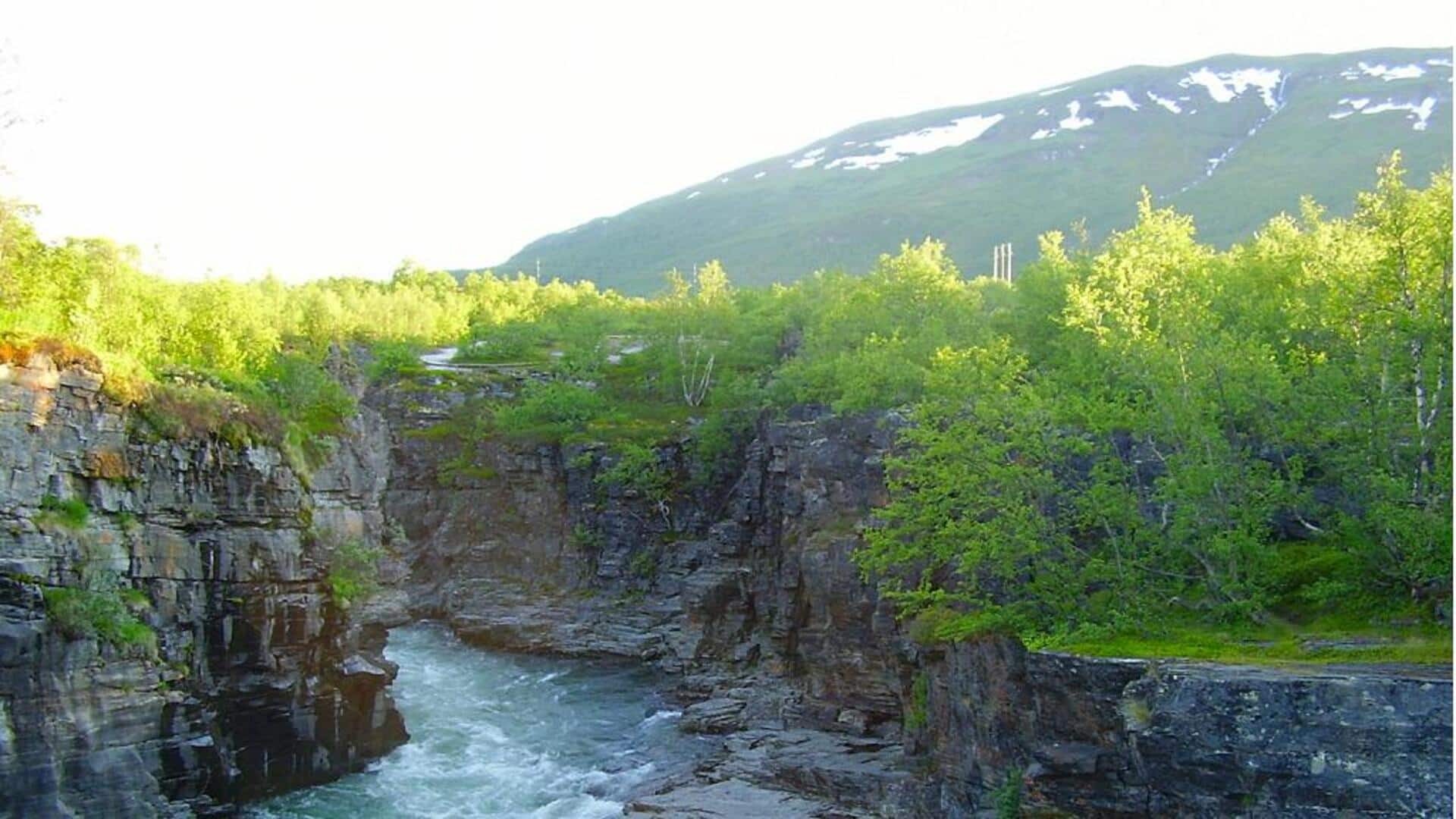 Lebih Dekat dengan Alam di Taman Nasional Abisko