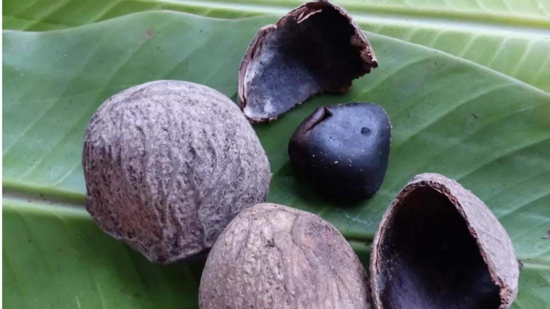 Rempah Rahasia Indonesia untuk Memperkaya Cita Rasa Masakan Anda Rempah Rahasia Indonesia untuk Memperkaya Cita Rasa Masakan Anda