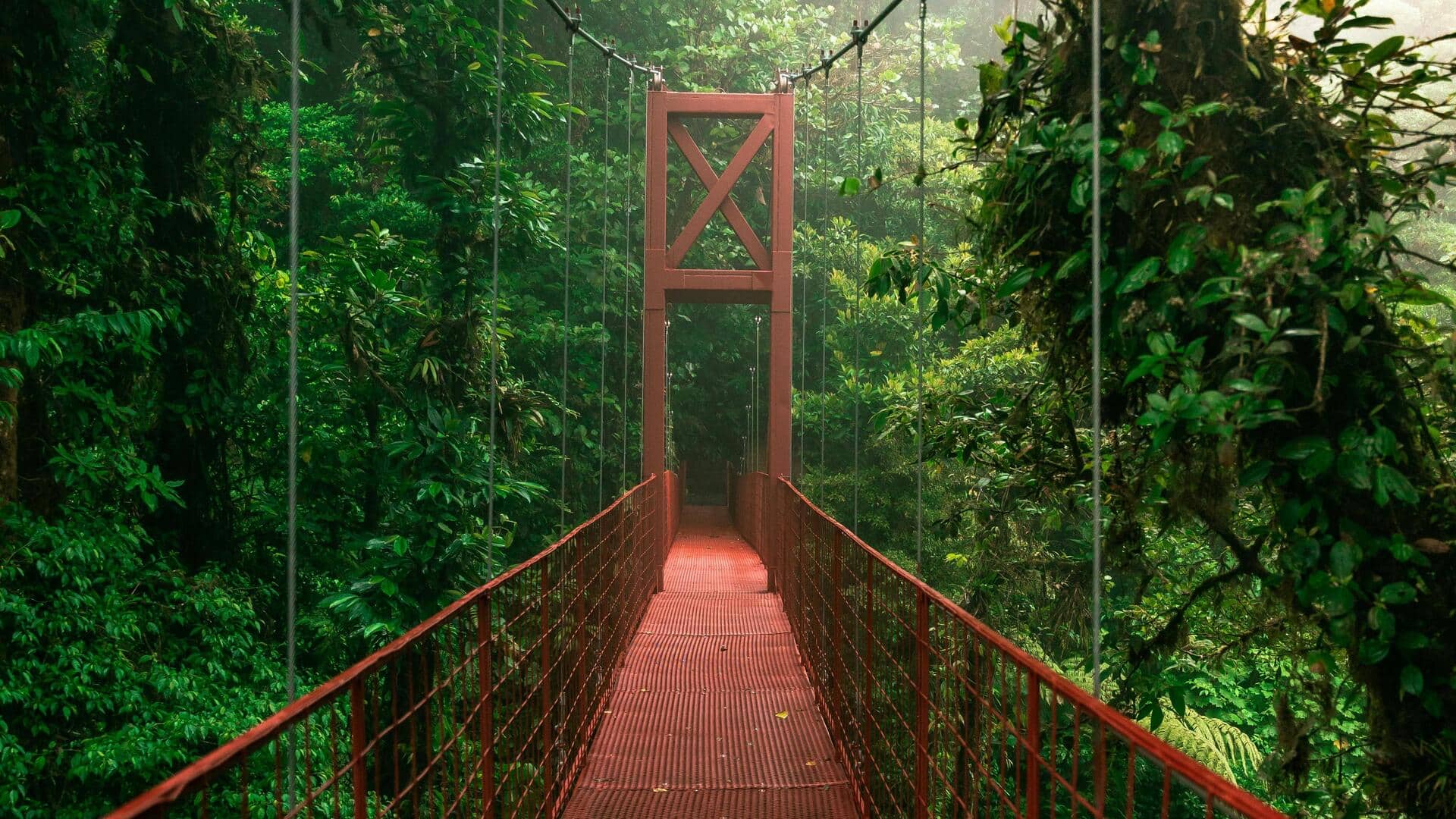 Hutan Hujan Tersembunyi di Kosta Rika: Temukan Ketentraman