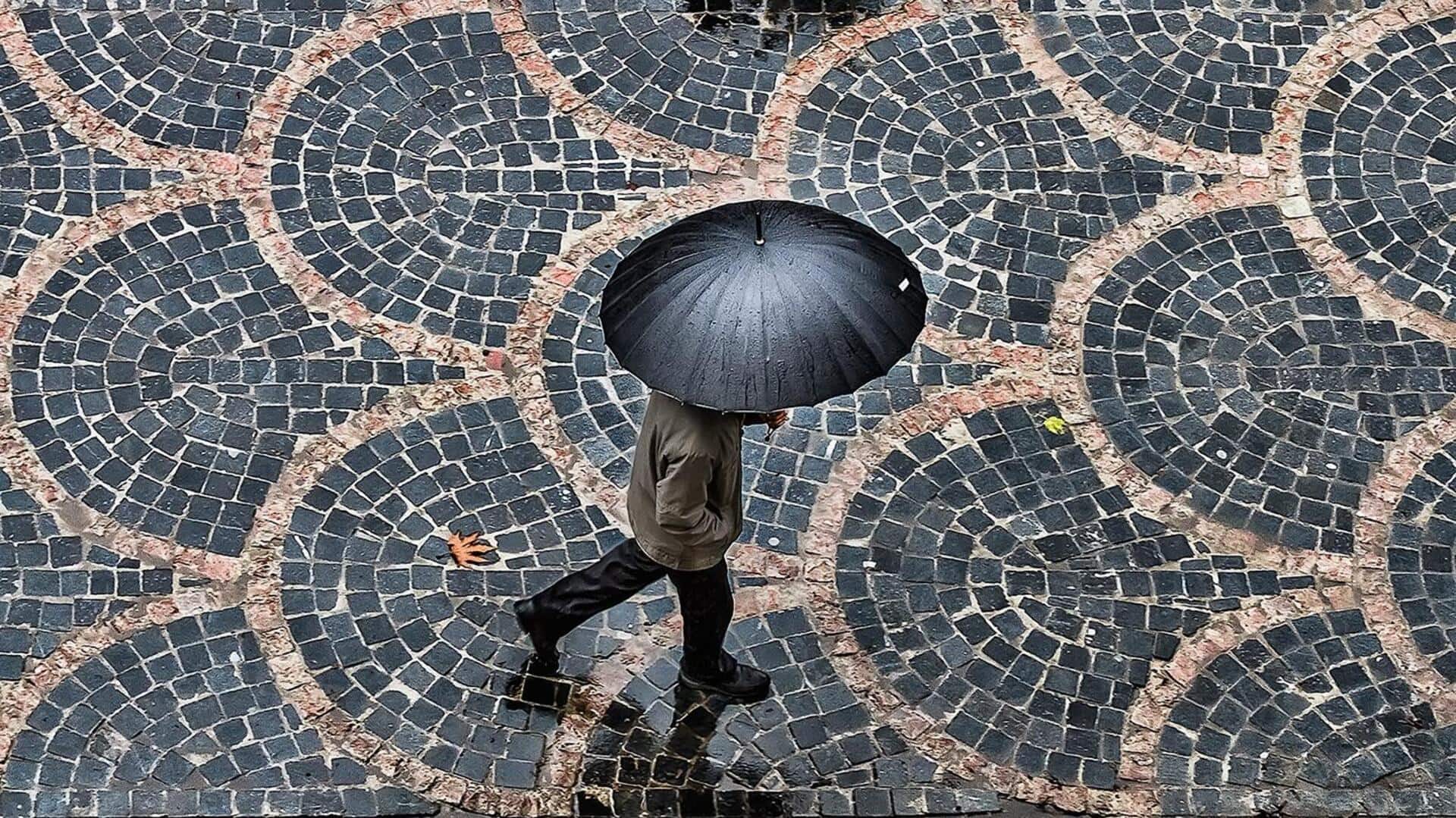 Lima Tips untuk Menciptakan Fotografi Pola yang Menawan