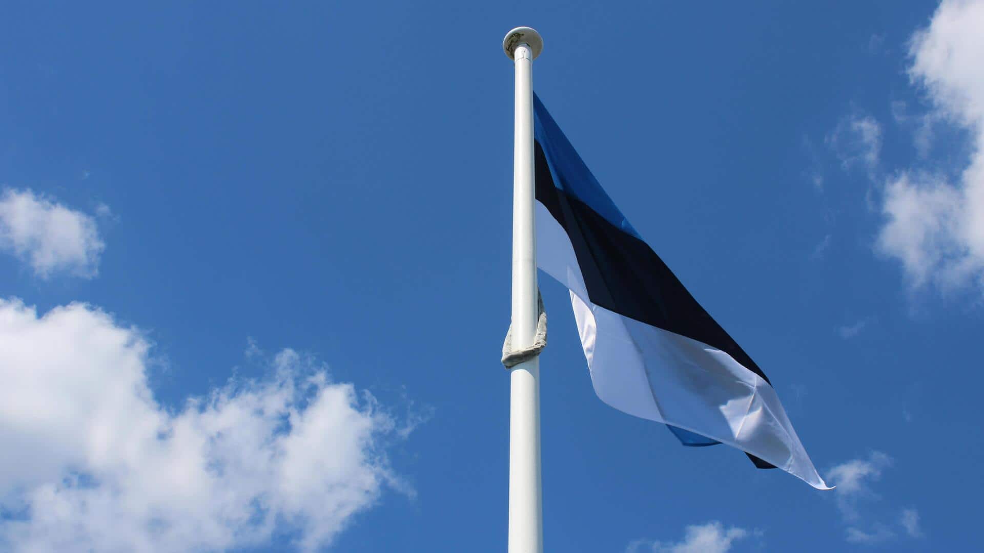 Dampak Dunia Kewarganegaraan Digital Estonia