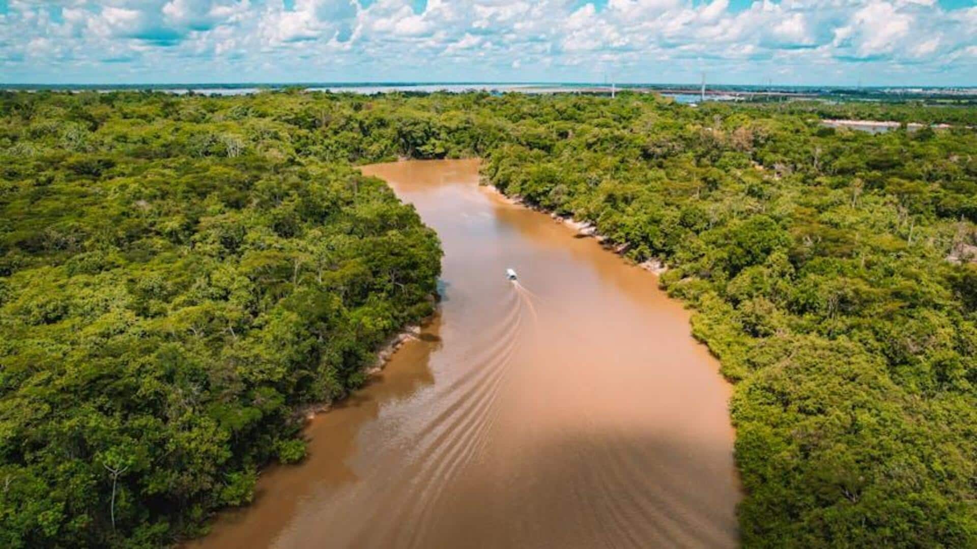 Lima Fakta Ilmiah Menarik tentang Sungai Terpanjang di Dunia