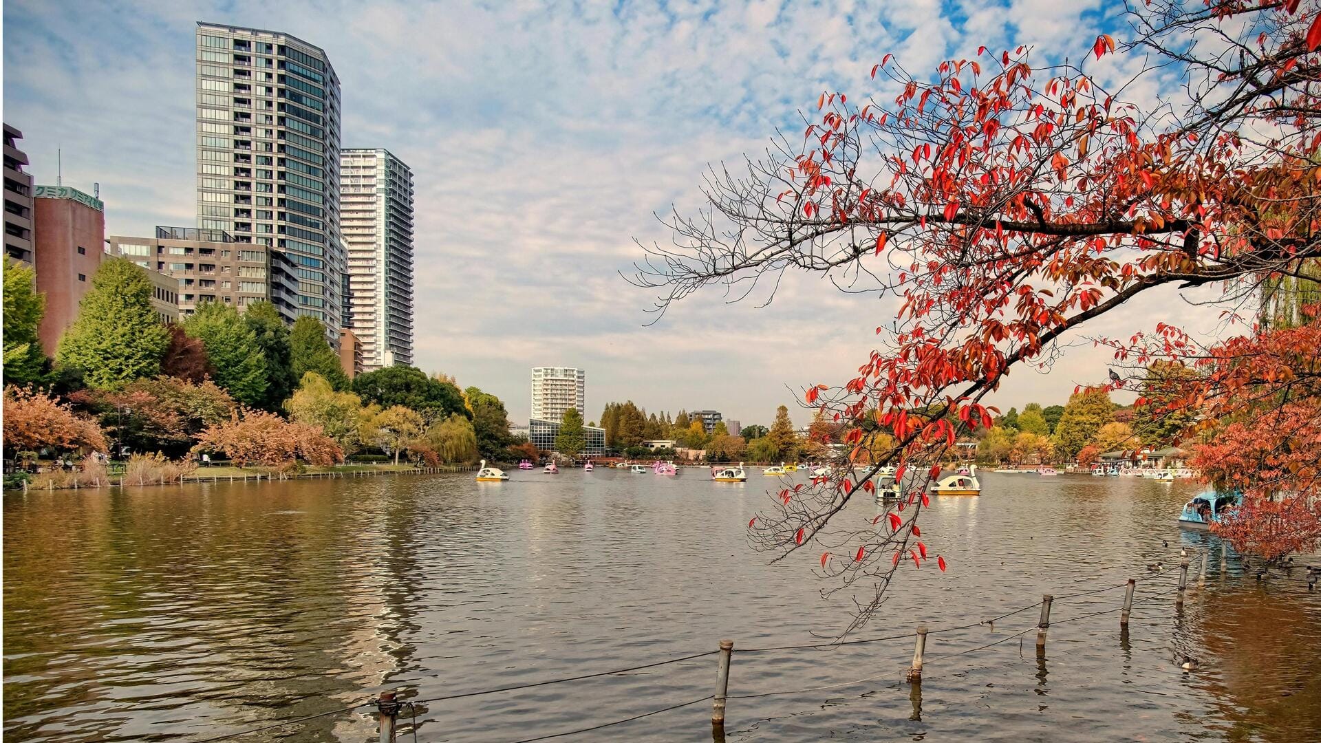 Menjelajahi Taman Tenang di Tokyo untuk Pencari Kenyamanan Menjelajahi Taman Tenang di Tokyo untuk Pencari Kenyamanan