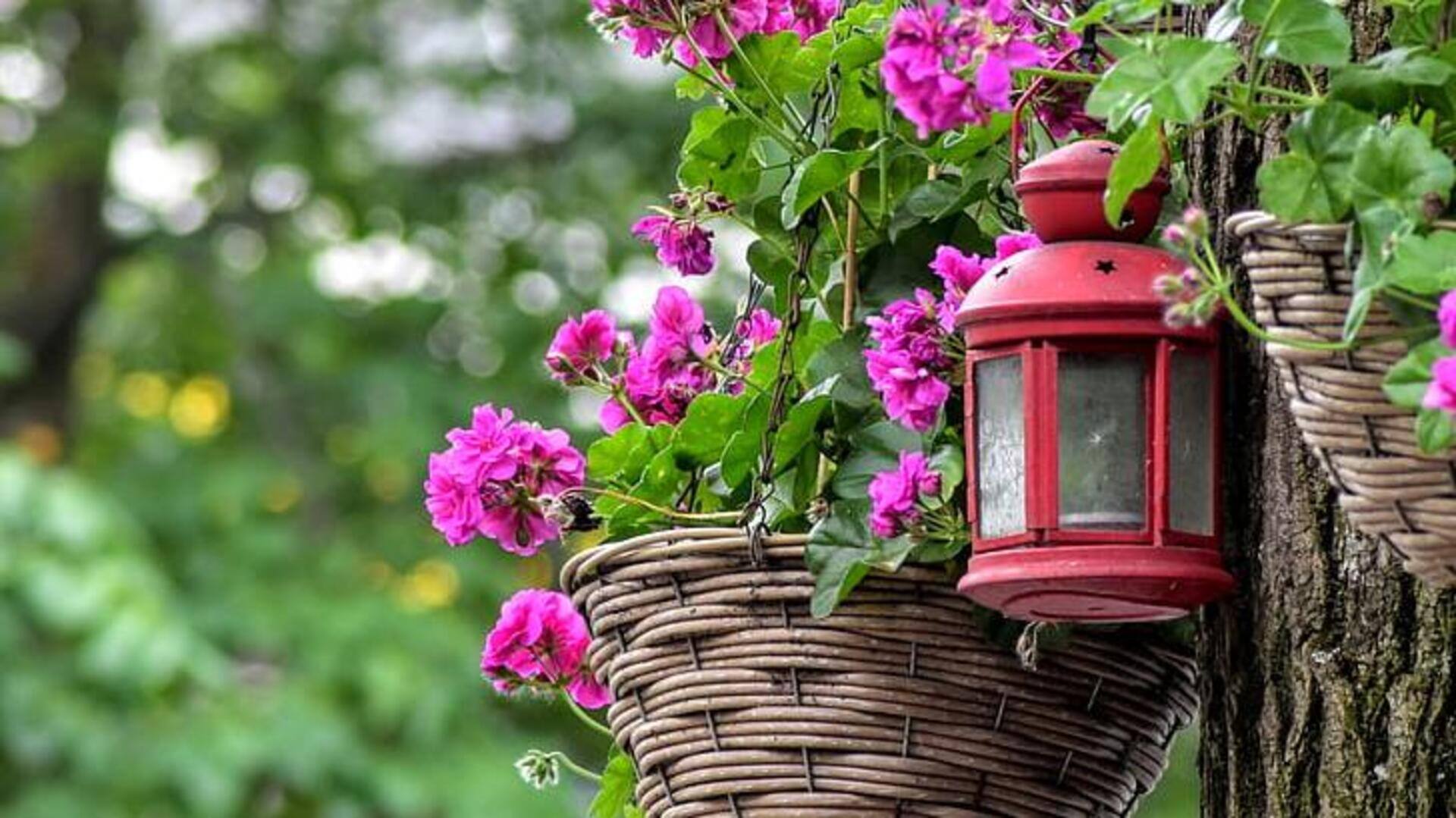 Ubah keranjang bekas menjadi kebun herbal gantung Ubah keranjang bekas menjadi kebun herbal gantung