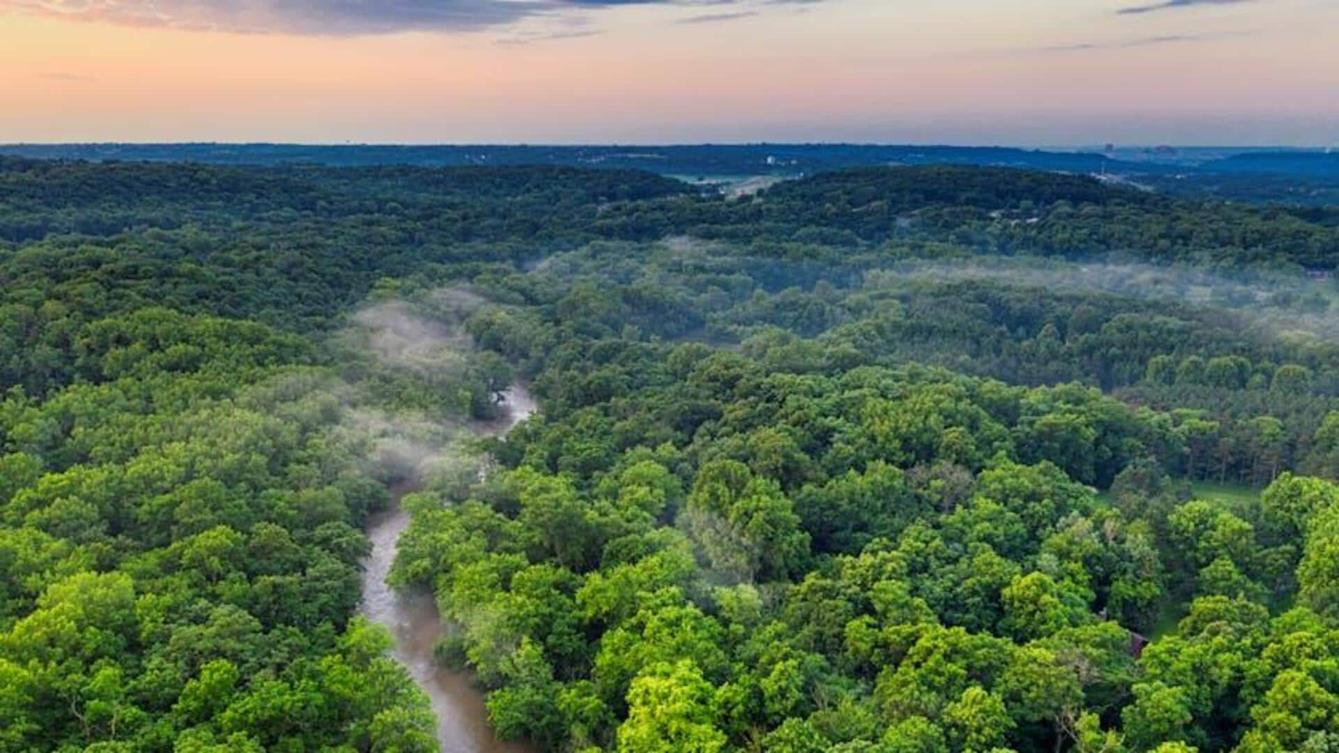 Mendayung di Hutan Amazon