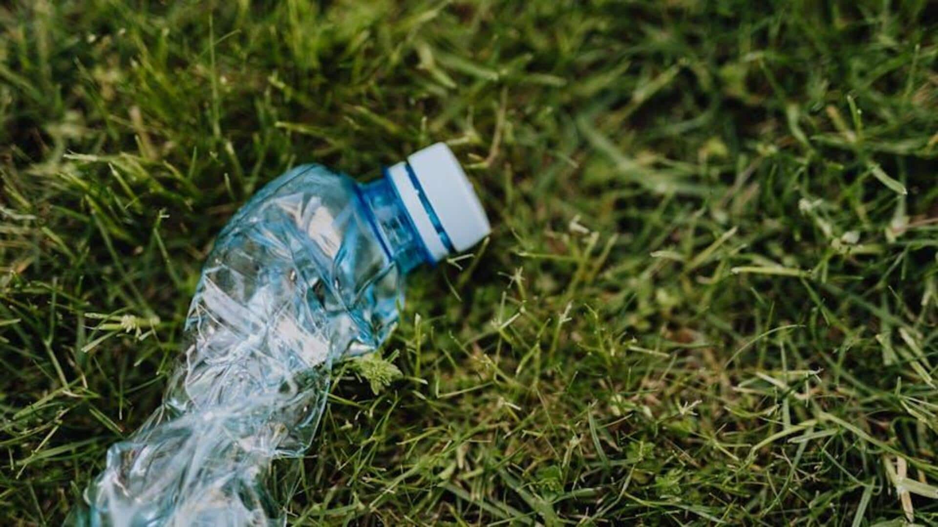 Plastik Biodegradable: Solusi Berkelanjutan dari Jamur Plastik Biodegradable: Solusi Berkelanjutan dari Jamur