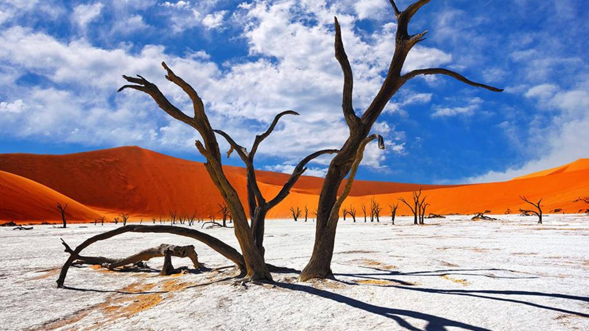 Menjelajahi Lanskap Gurun yang Menakjubkan di Namibia Menjelajahi Lanskap Gurun yang Menakjubkan di Namibia