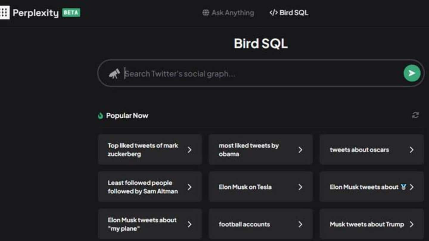 Perplexity AI's Bird SQL adalah pencarian Twitter yang terbaik