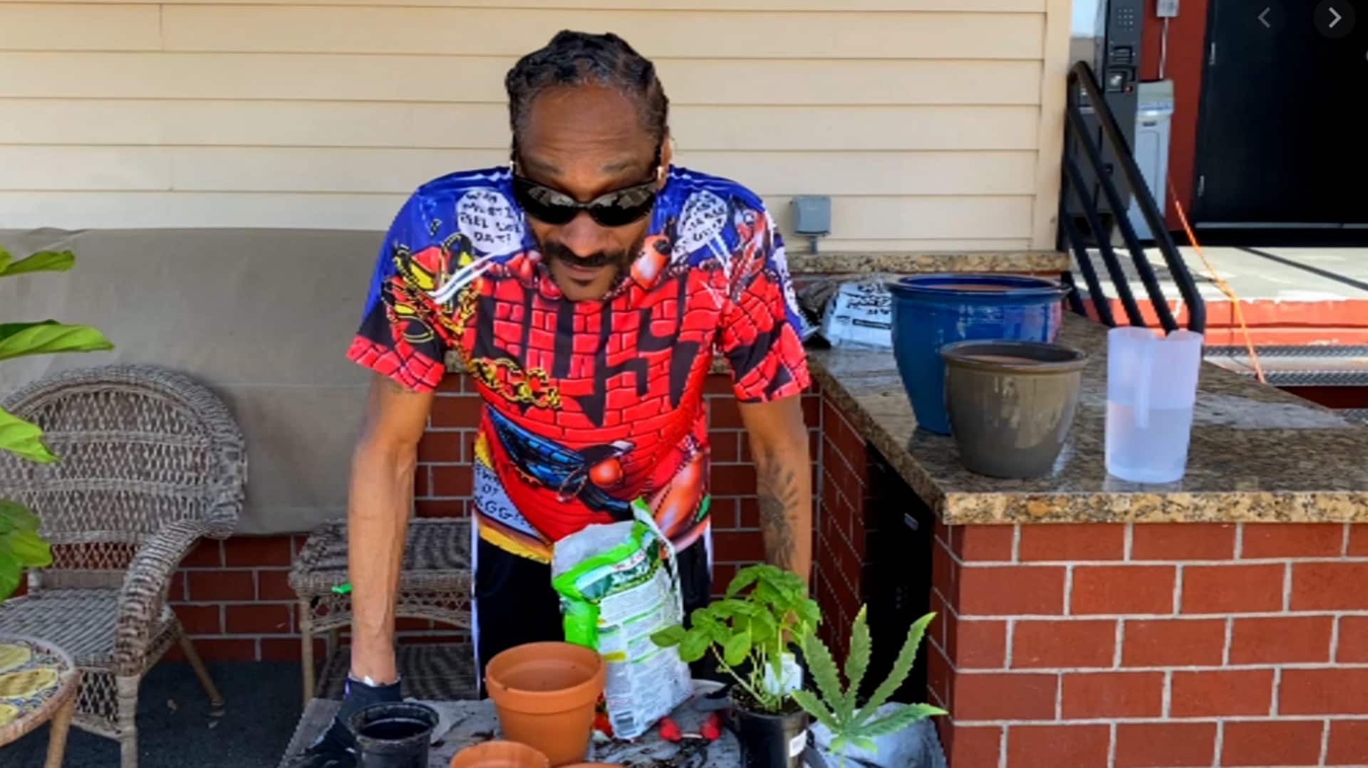 Bintang Hollywood dengan kebun rumah pemenang penghargaan