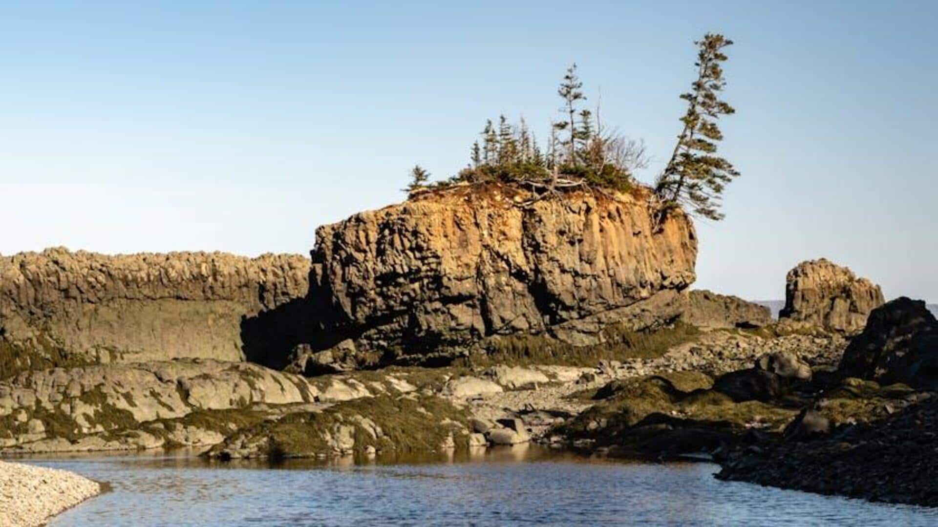 Menjelajahi Jalur Pendakian Pesisir Tersembunyi di Kanada