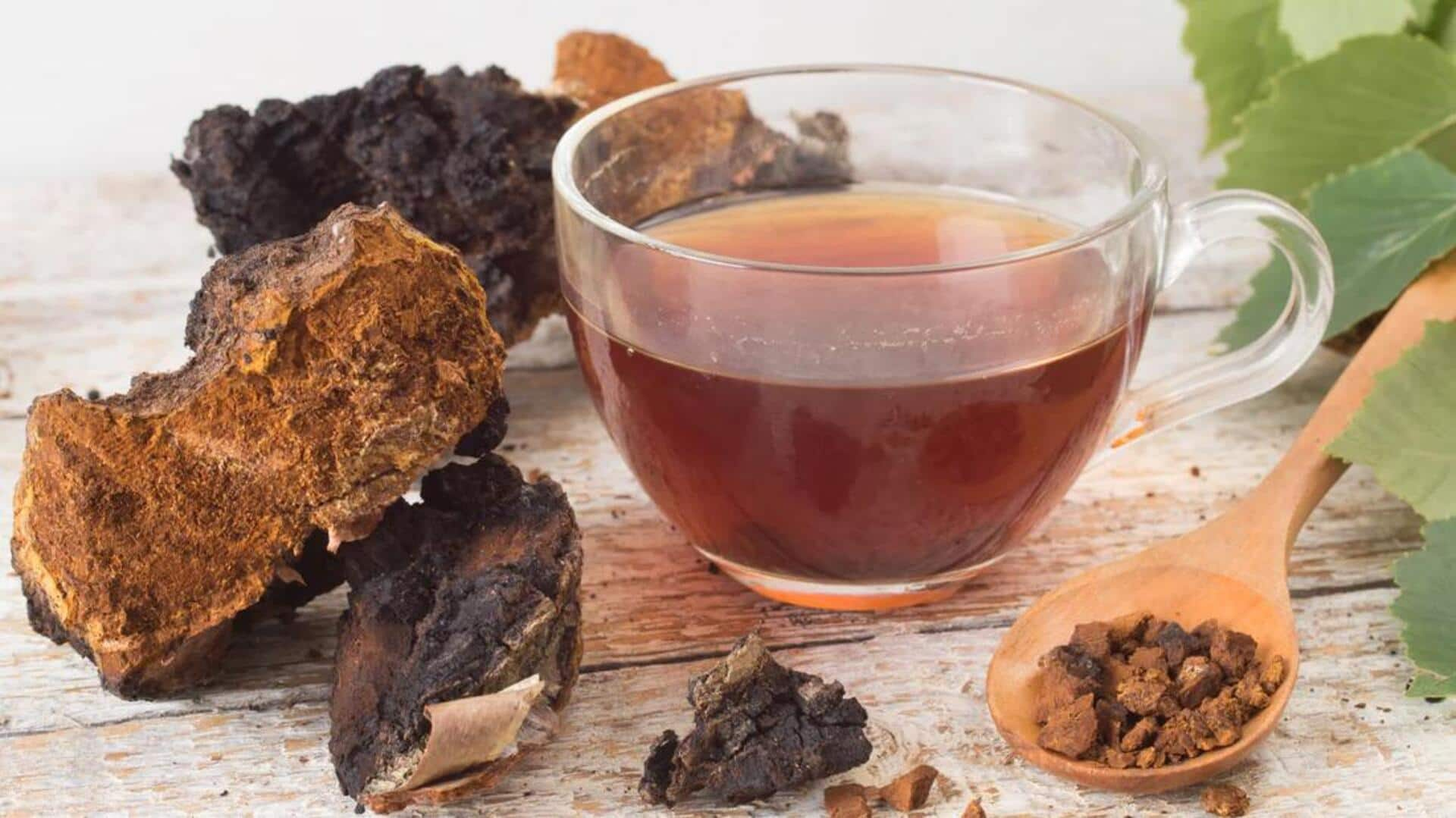 Beragam Kandungan Nutrisi Dalam Jamur Chaga